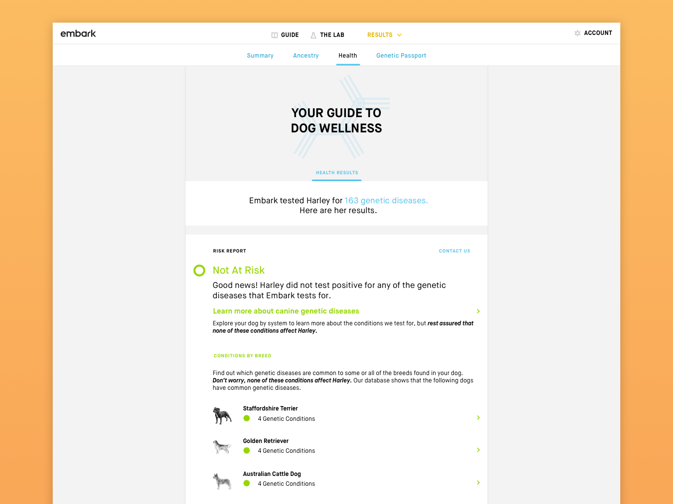These application visuals were done in collaboration with another, very talented designer, Patrick Prine. As a team we worked through all aspects of UI design and delivery.