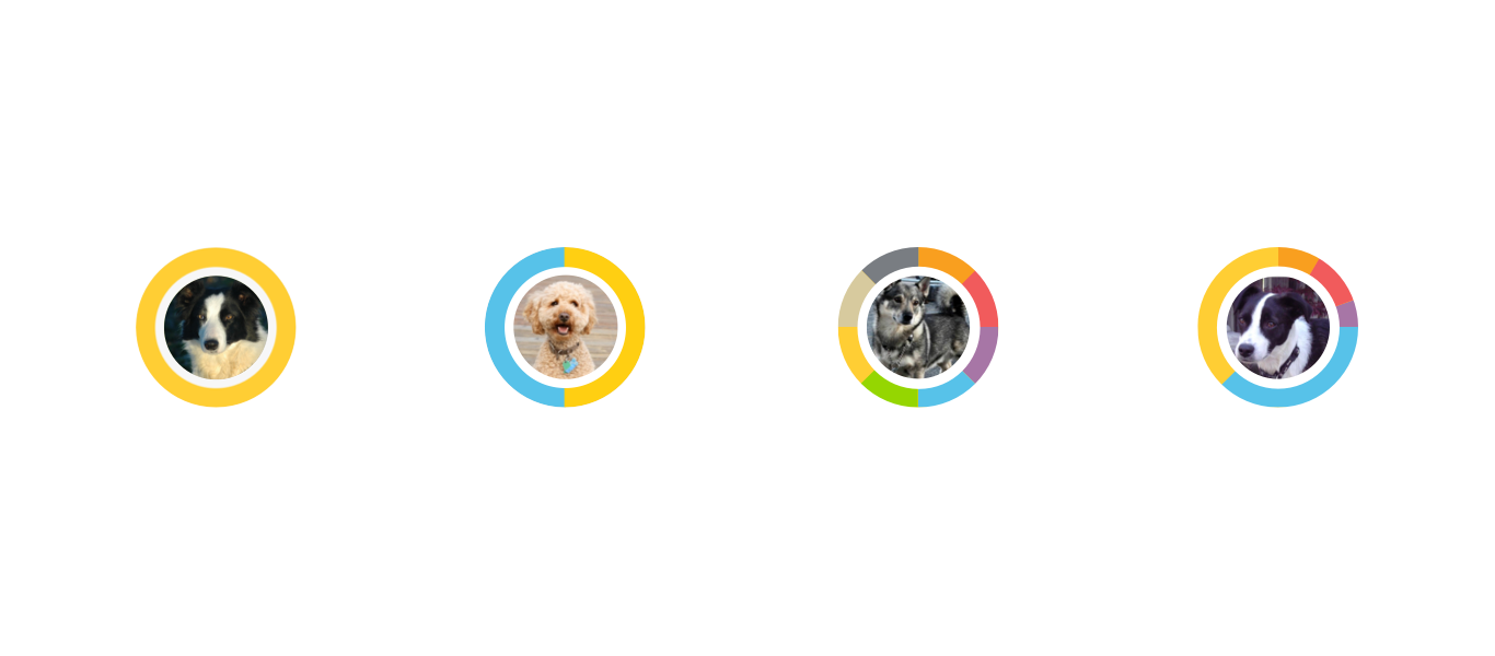 Embark Breed Circles.png