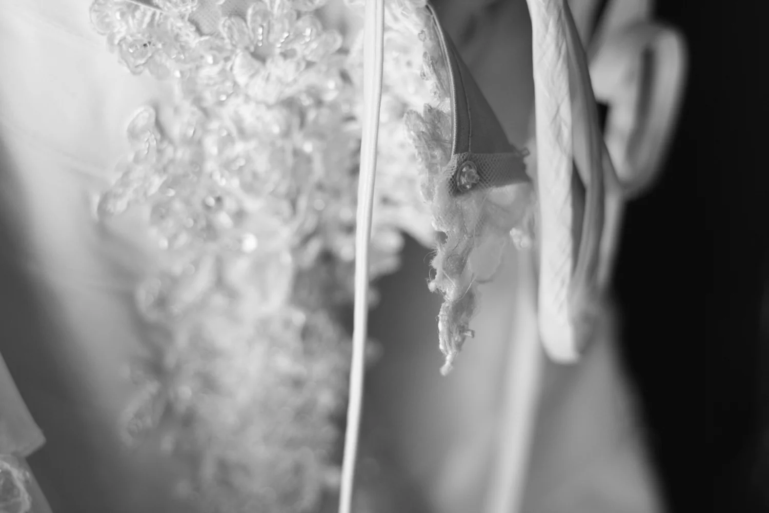 davidbraudphoto-website-7.jpg