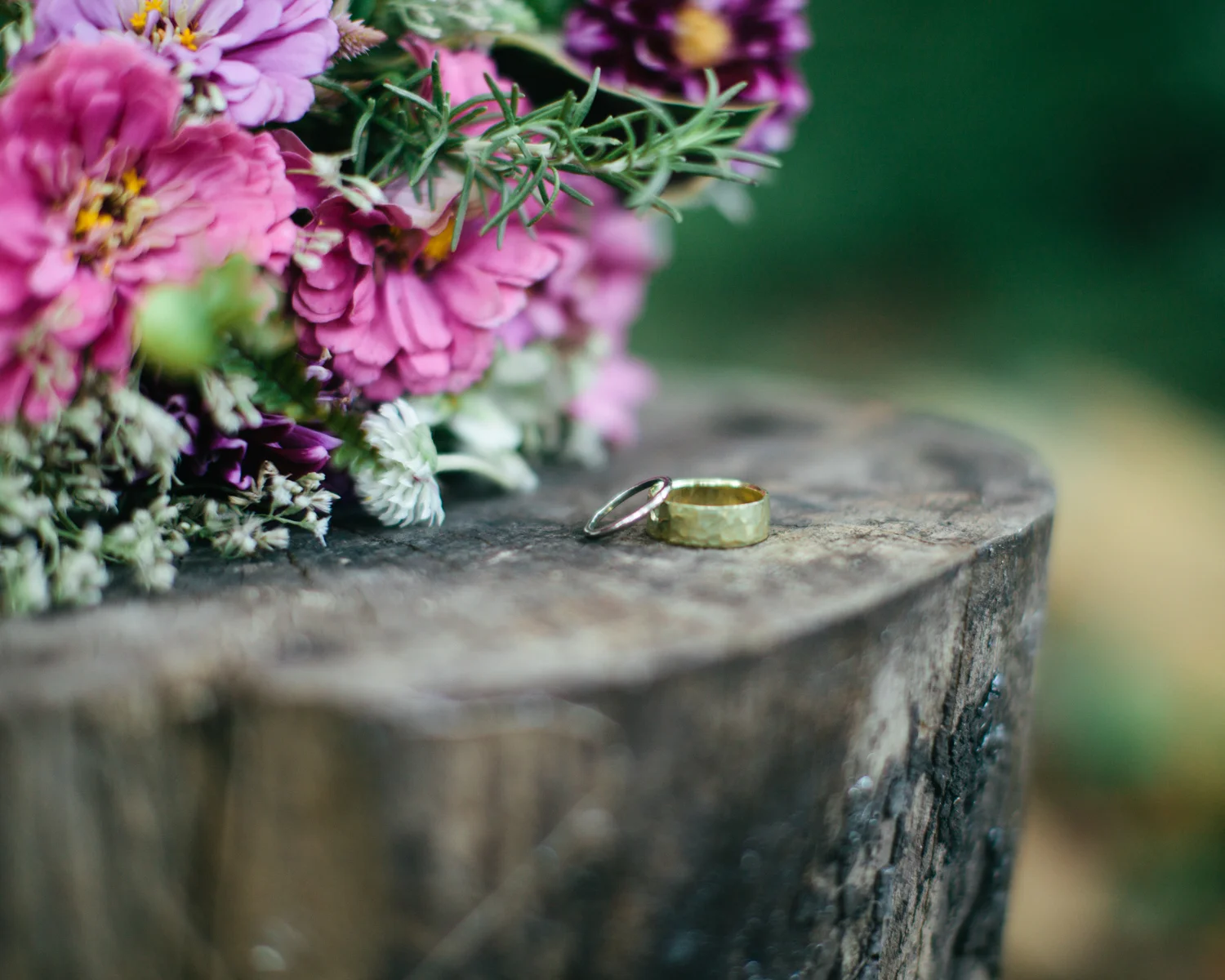 davidbraudphoto-website-27.jpg