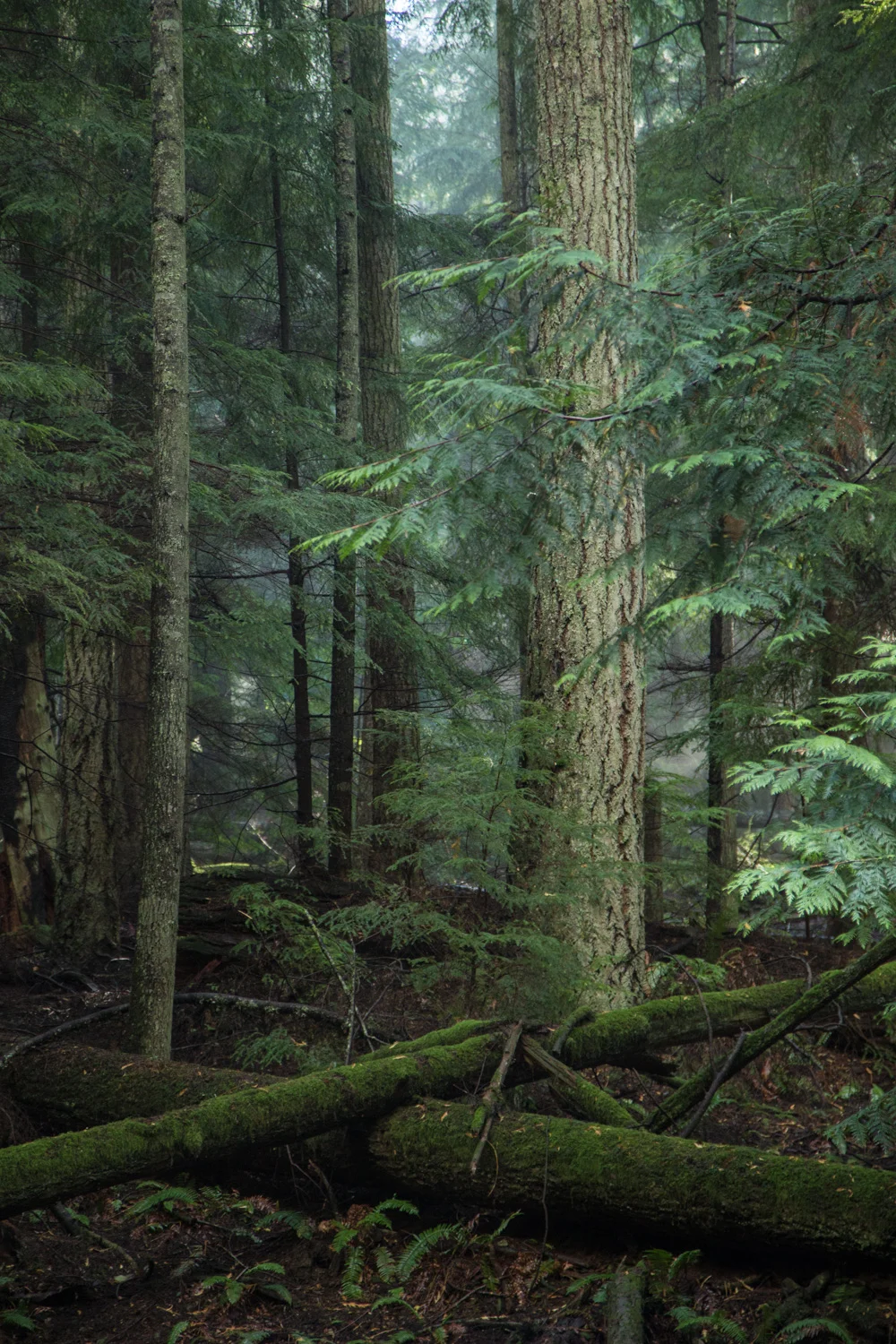 Moments to Remember in 2014