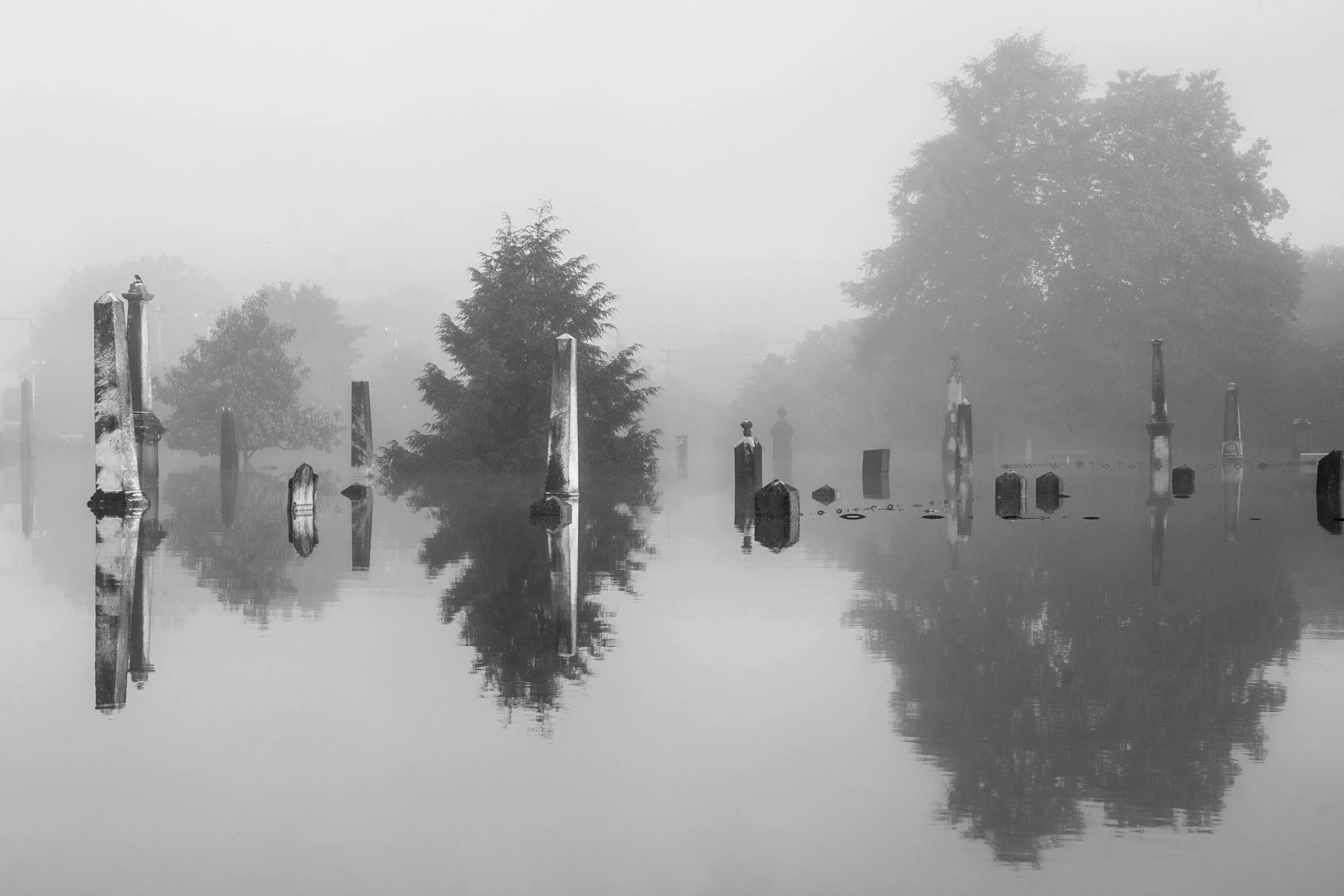 resthaven-davidbraud-2197.jpg