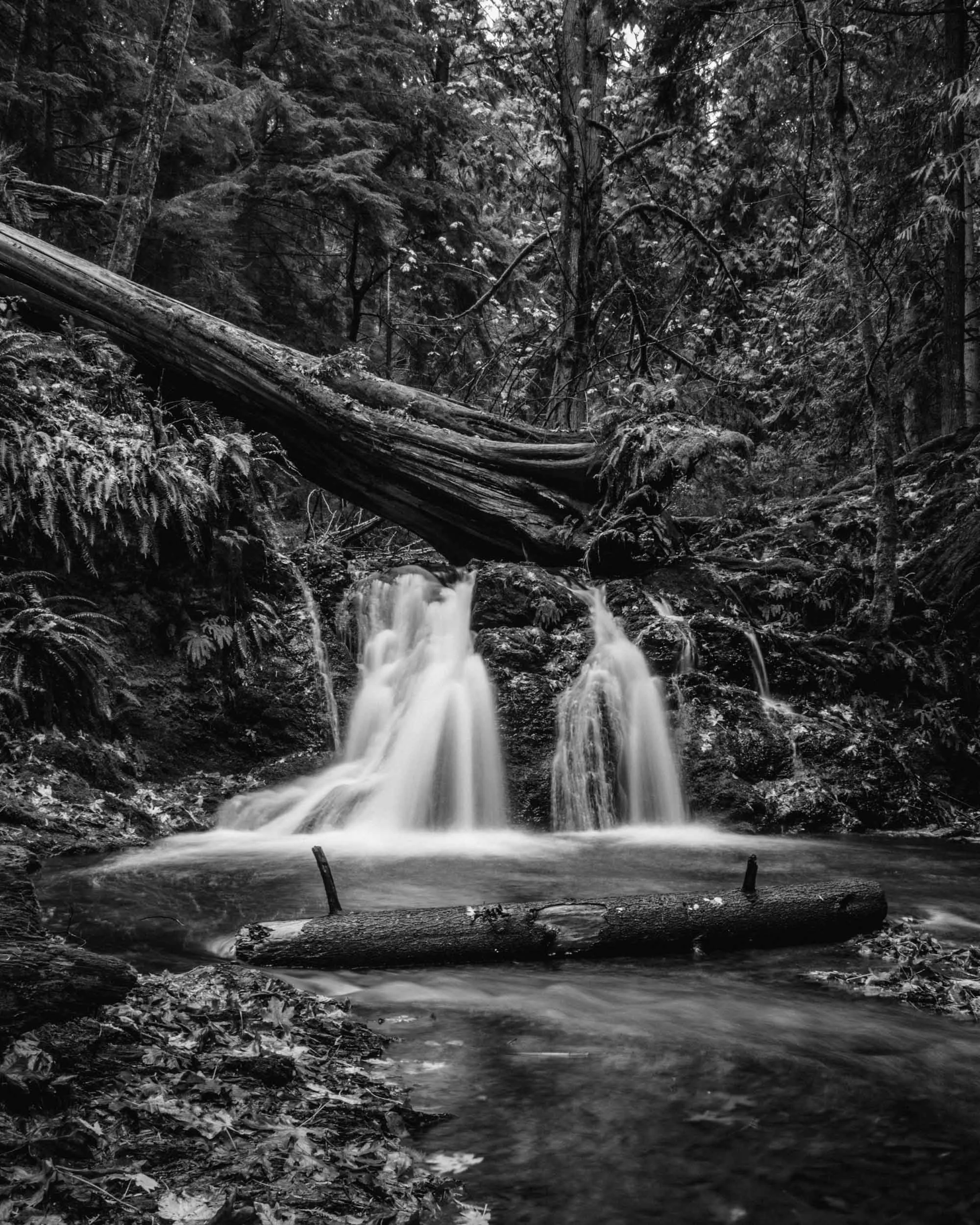 rusticFalls 2000px-7180.jpg