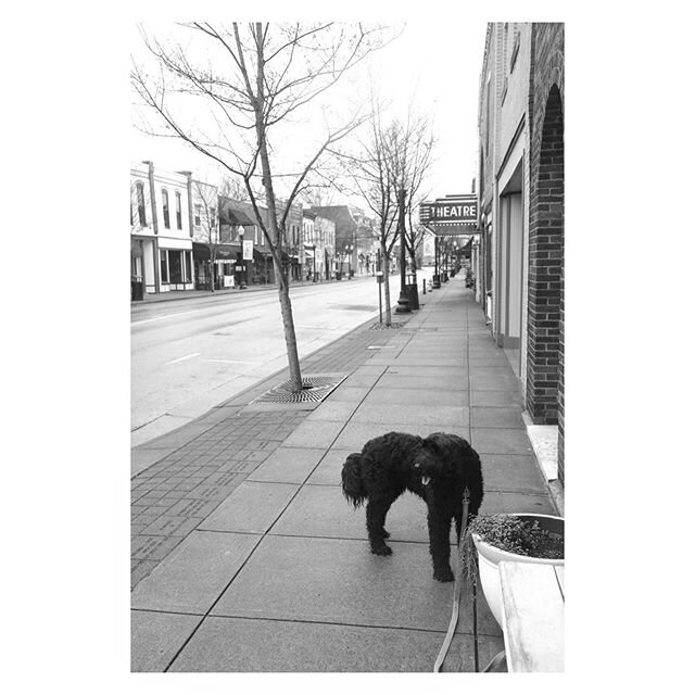 😳 Almost 9am and our downtown is a ghost town. Just me and Ollie. This slow down is strange but going for walks and painting pictures and making photographs and doing puzzles and a bit of day drinking isn&rsquo;t that bad. Safety first.