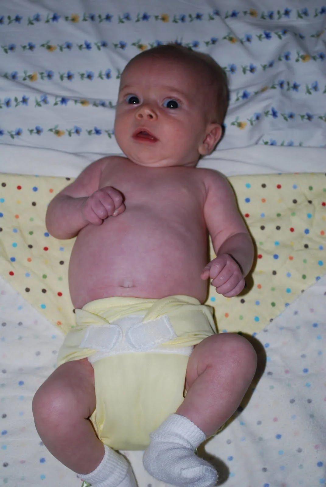 Baby felicity is wearing a prefold and a tiny tush diaper cover.