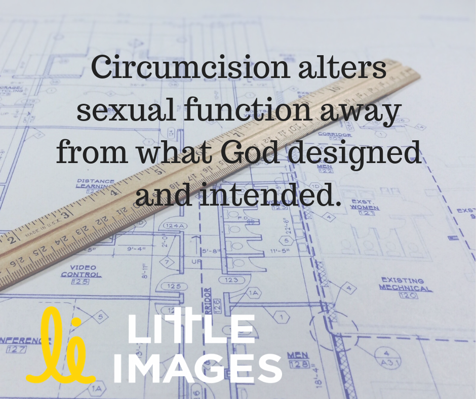 Image: Blueprints spread out on a table with a wooden ruler across them. Text: “Circumcision alters sexual function away from what God designed and intended. Littleimages.org” 