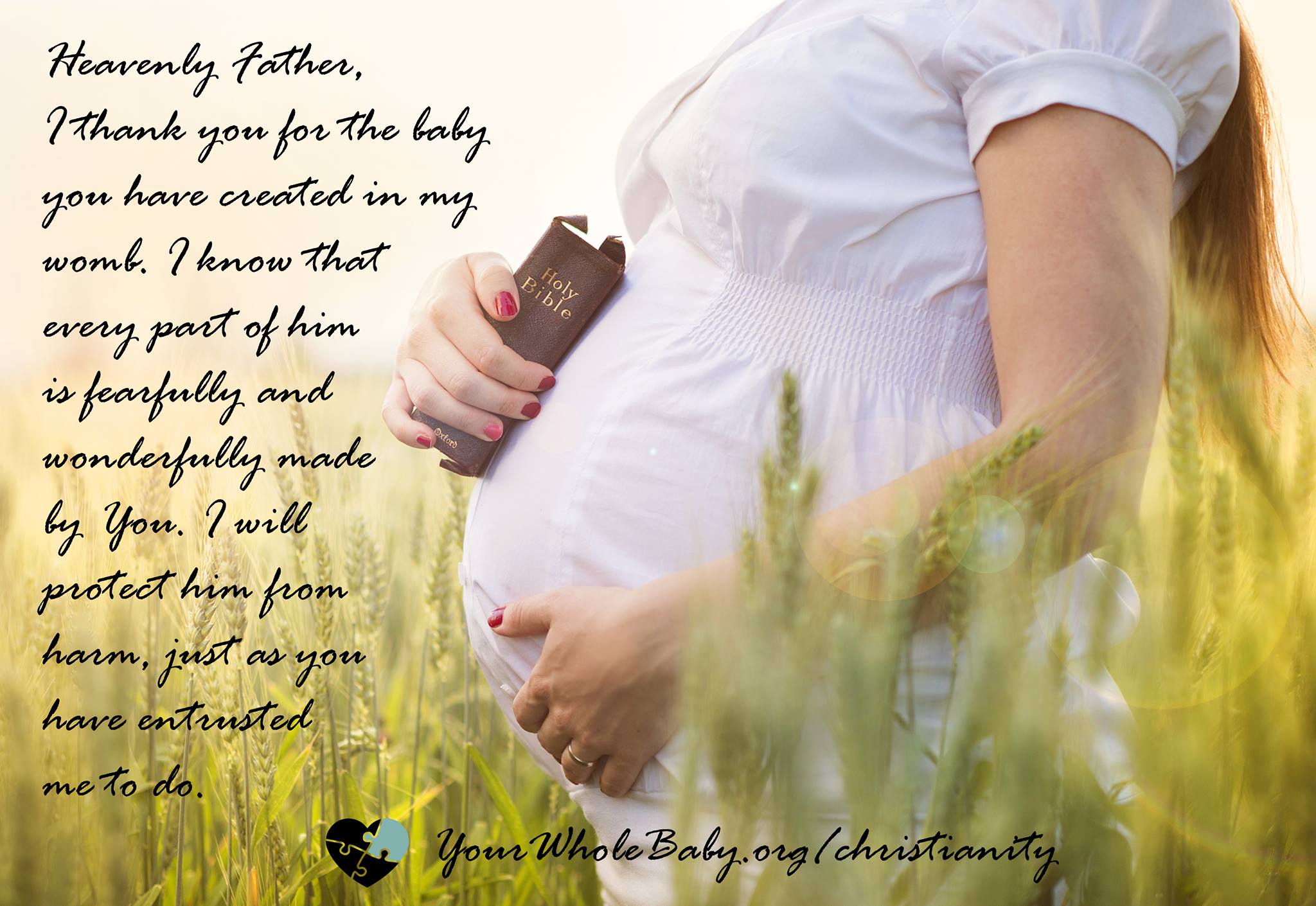 Image: Belly shot of a pregnant woman holding the bible to her stomach in a field. Text: “Heavenly Father, I thank you for the baby you have created in my womb. I know that every part of him is fearfully and wonderfully made by You. I will protect h