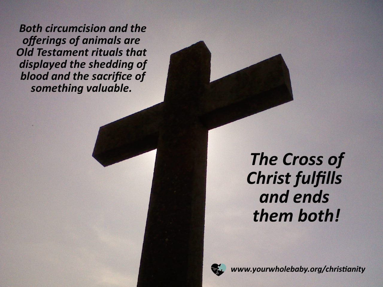  Image: Backlit cross. Text: “Both circumcision and the offerings of animals are Old Testament rituals that displayed the shedding of blood and the sacrifice of something valuable. The Cross of Christ fulfills and ends them both!” www.yourwholebaby.o
