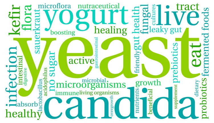 Word cloud with terms related to “Yeast”