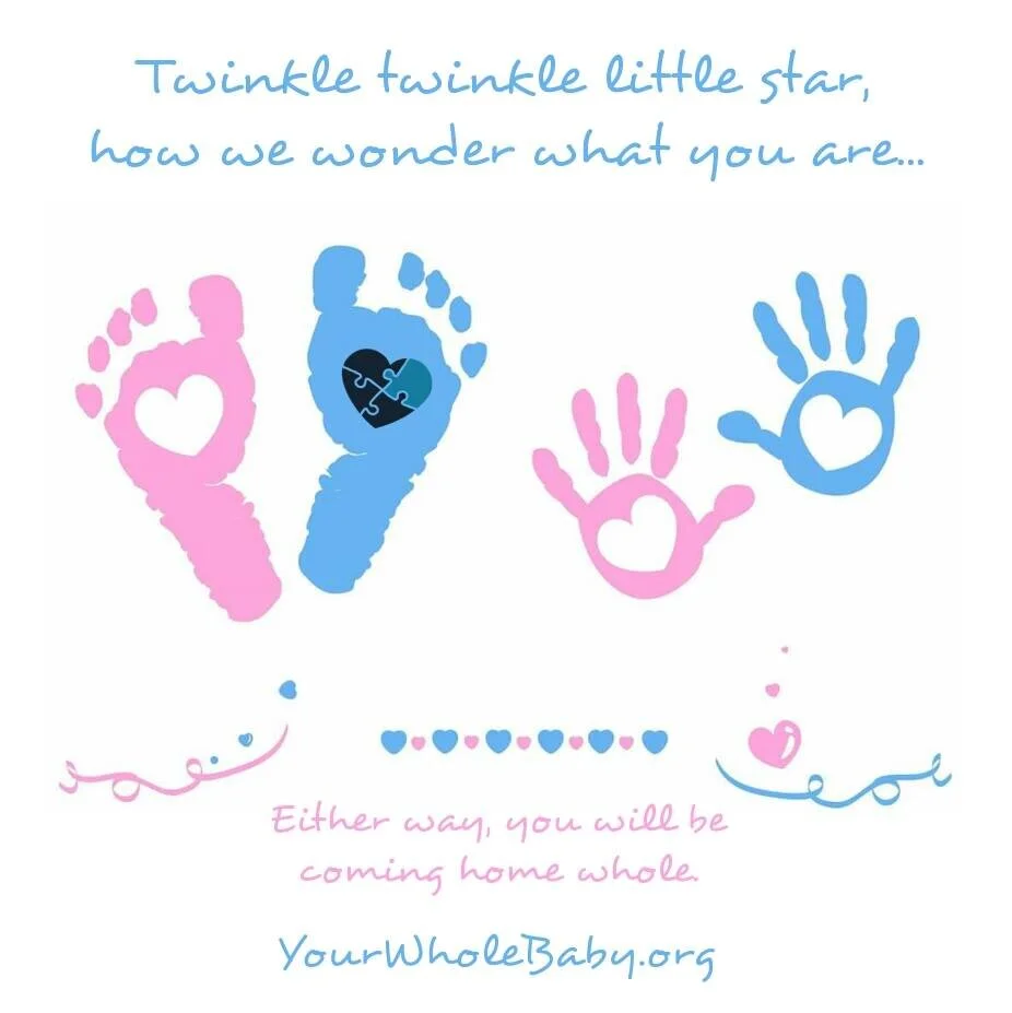 A pair of baby footprints and baby handprints, one pink, one blue in each pair, with hearts in their centers. Text: “Twinkle, twinkle, little star, how we wonder what you are…Either Way, you will be coming home whole. Yourwholebaby.org”