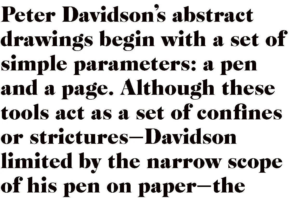 web texts davidson lallo.jpg
