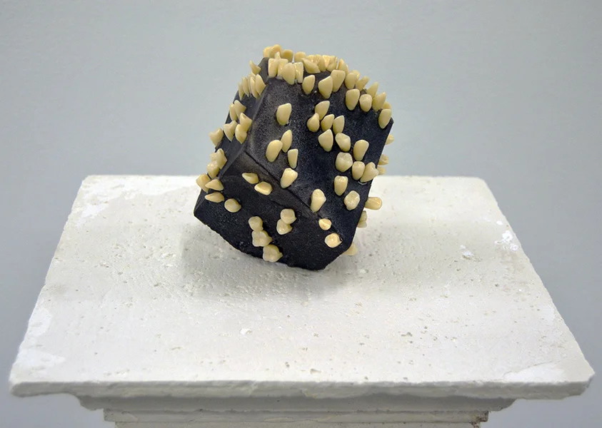 needham_2014_polyhedron-with-denticles.jpg