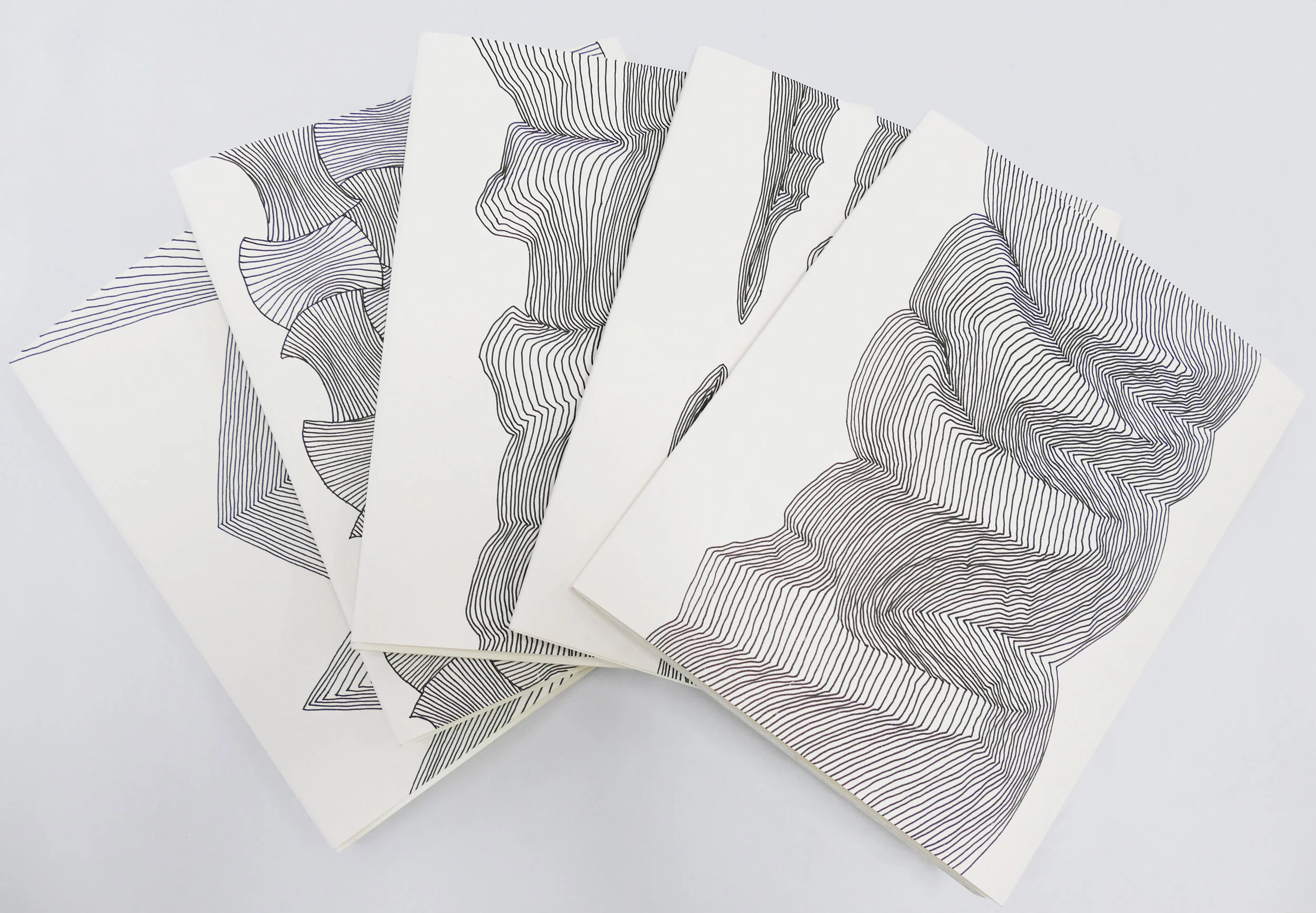 Peter Davidson: Words, Lines