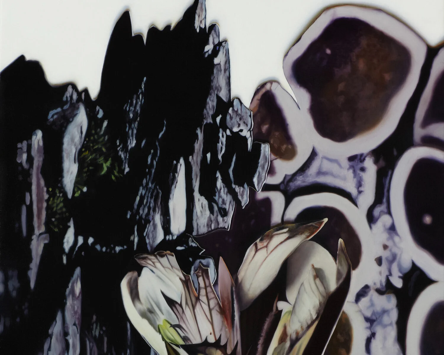 wormald_2012_Untitled+5.jpg