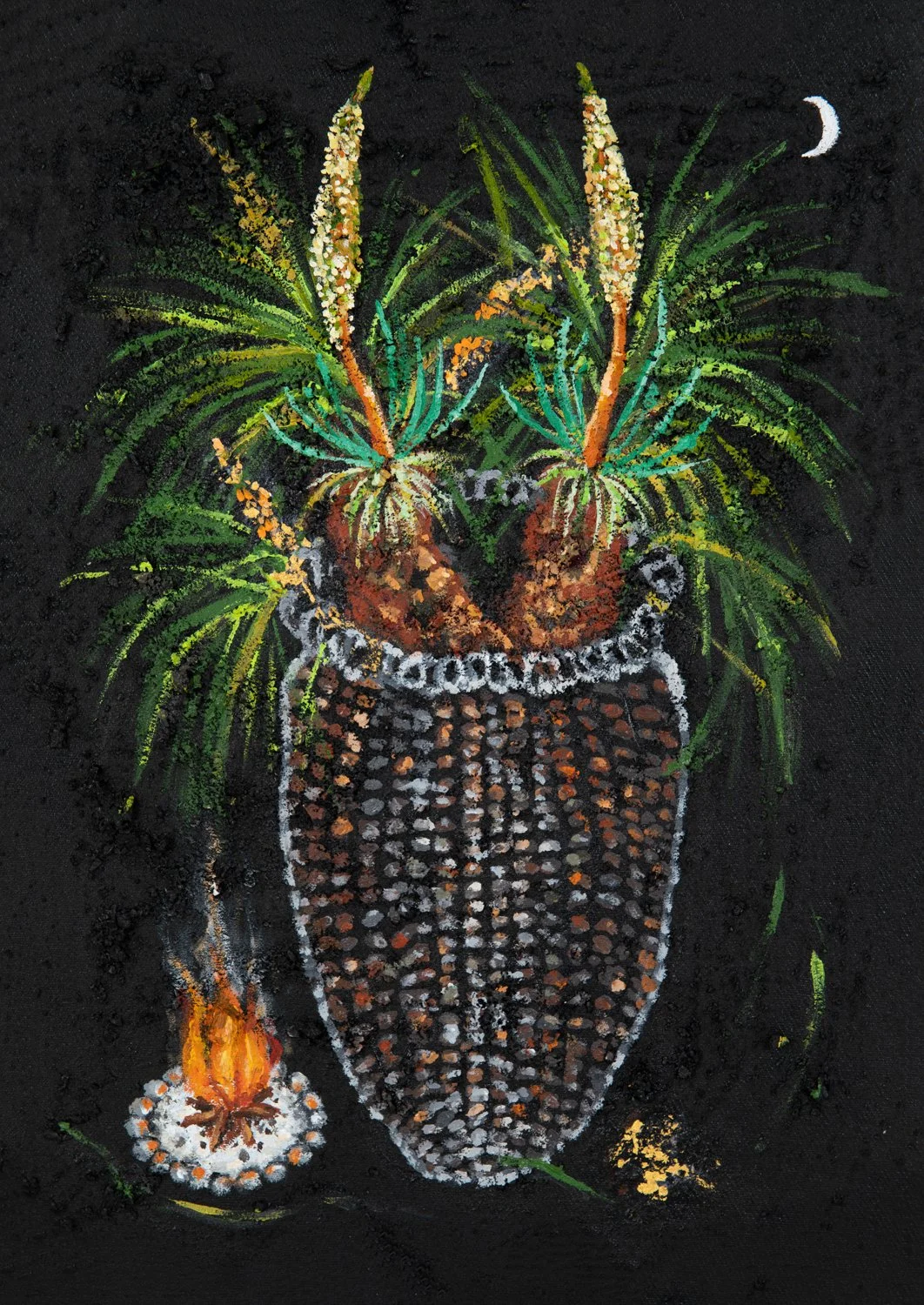 Before Joseph Banks, Our Baskets and Plants Held Sacred Knowledge, Grass Tree, Fire Knowledge Holder