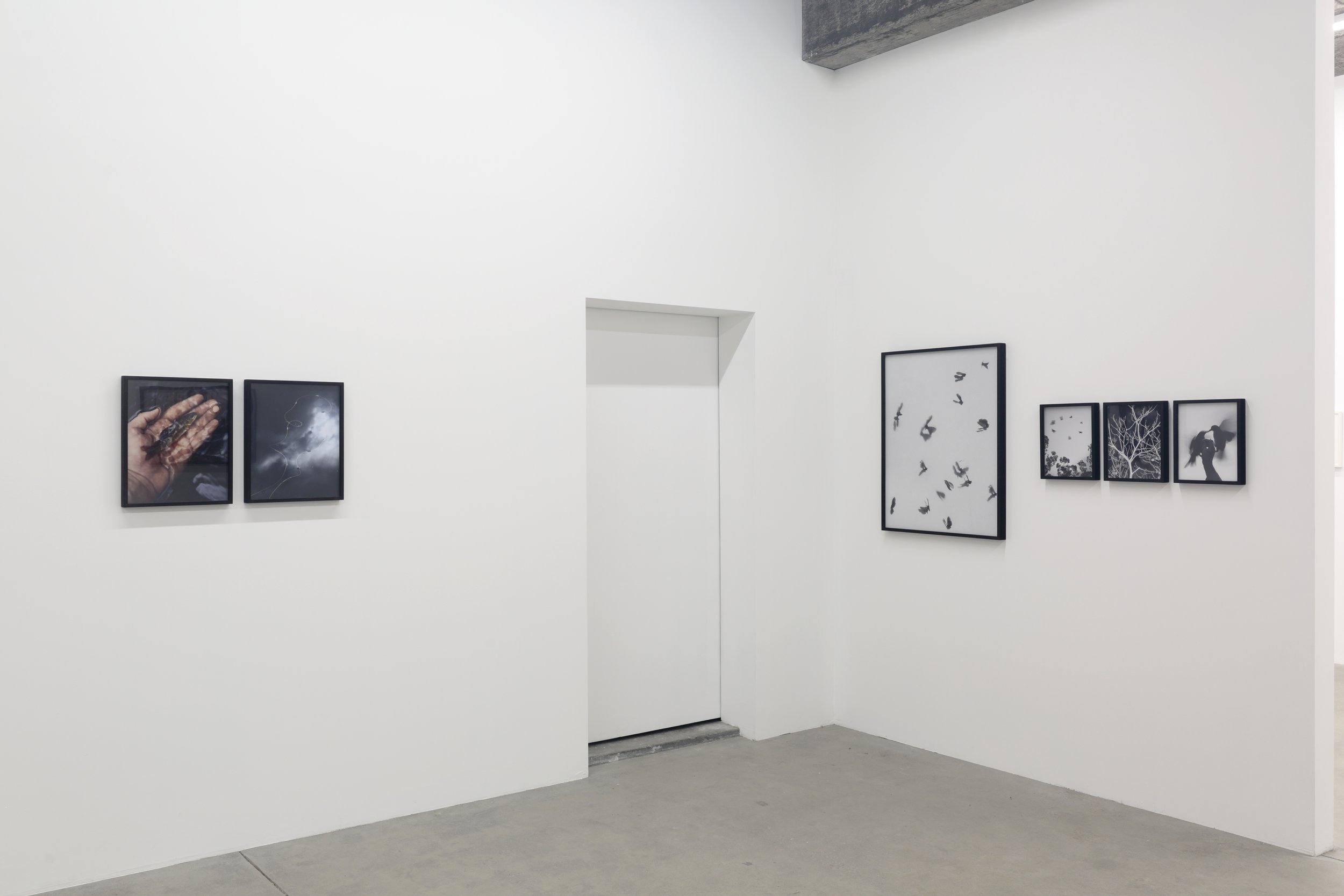  Pearce Leal installation view 