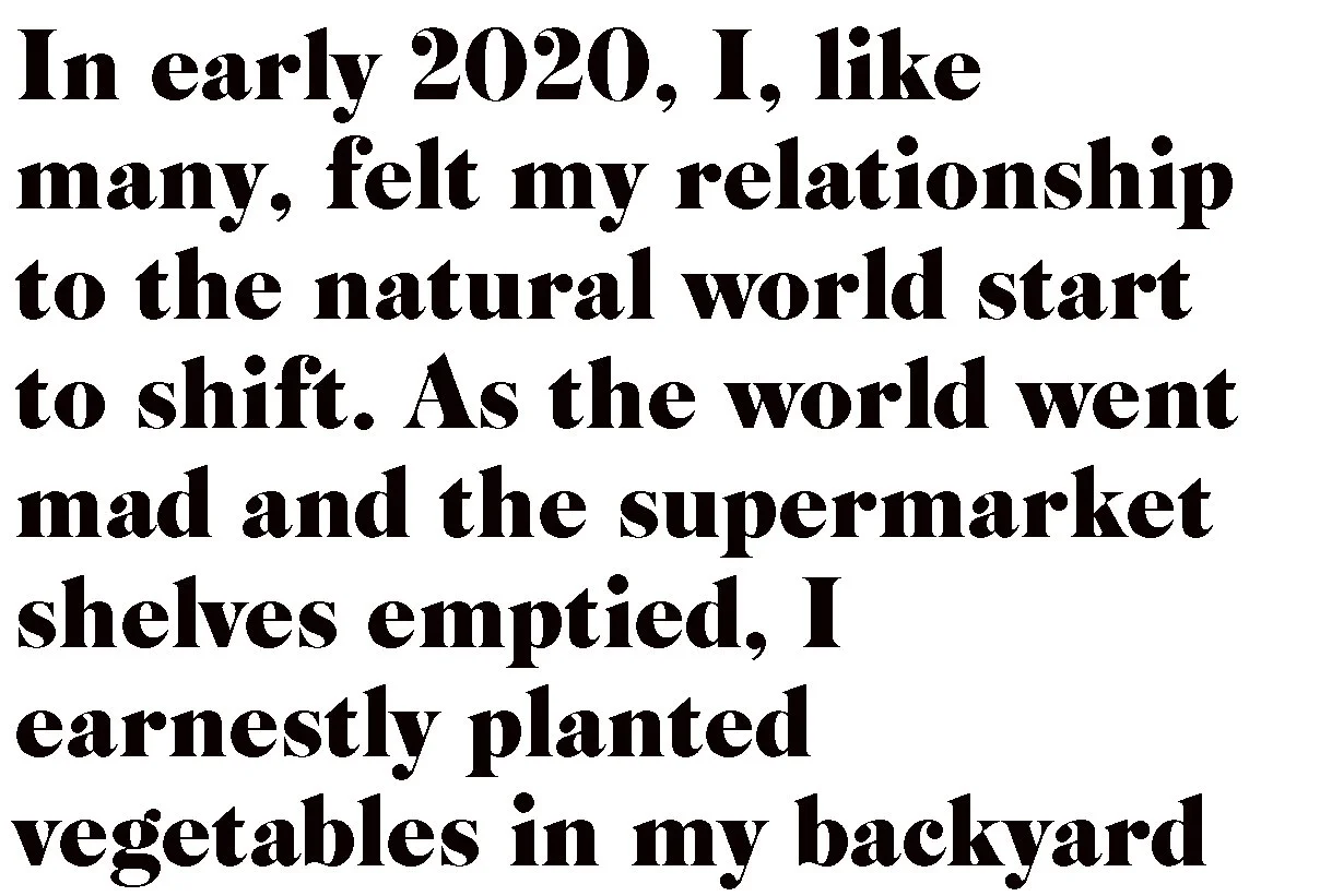 website texts o horizon singer.jpg