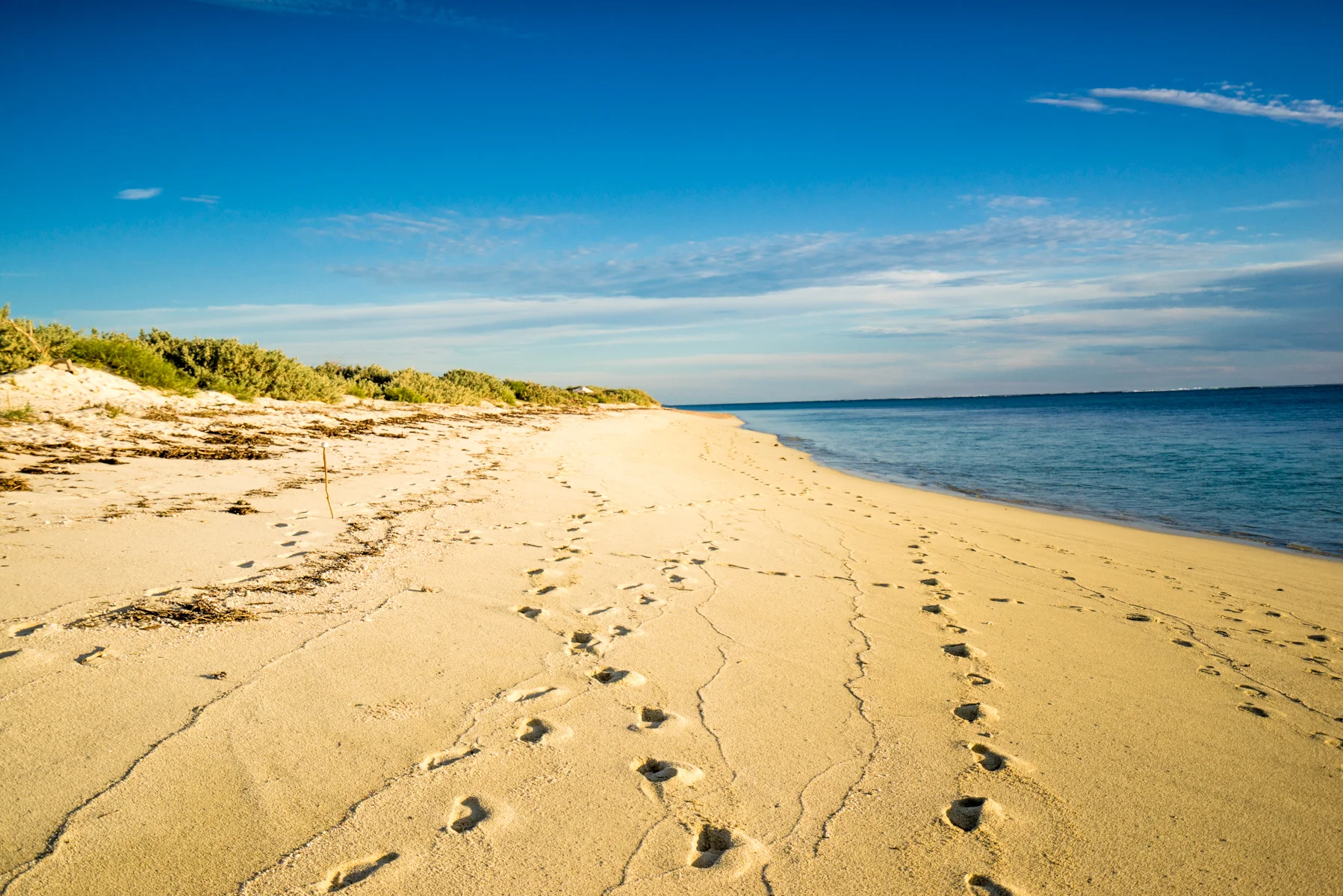 Beach Prints