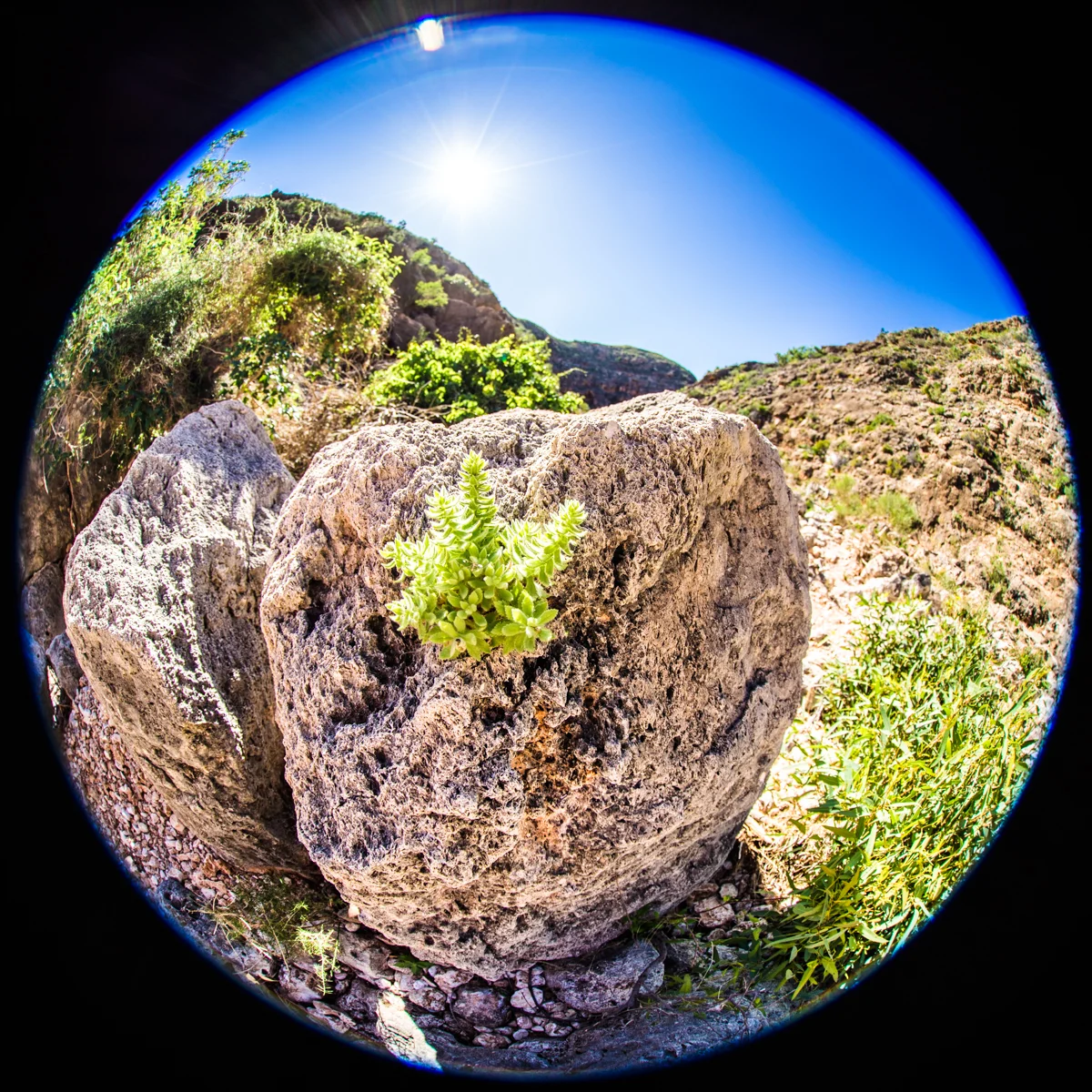From The Rock