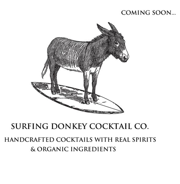 surfing donkey.jpeg