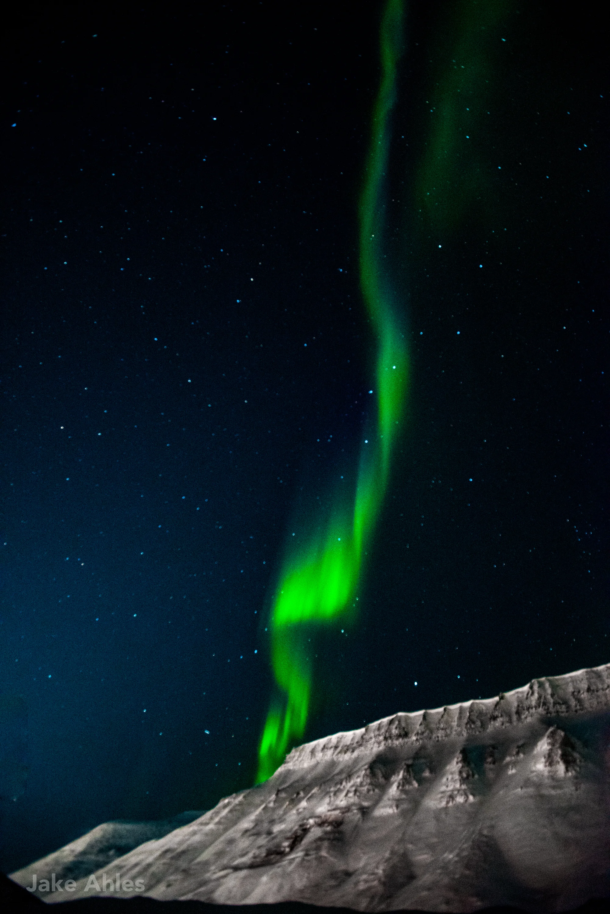 Svalbard Expedition 2018-4.jpg
