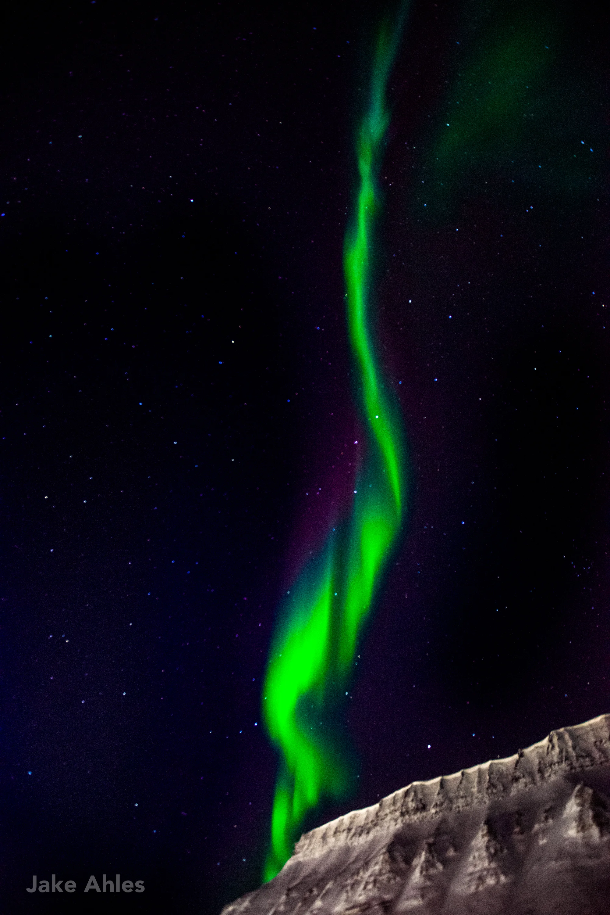 Svalbard Expedition 2018-5.jpg