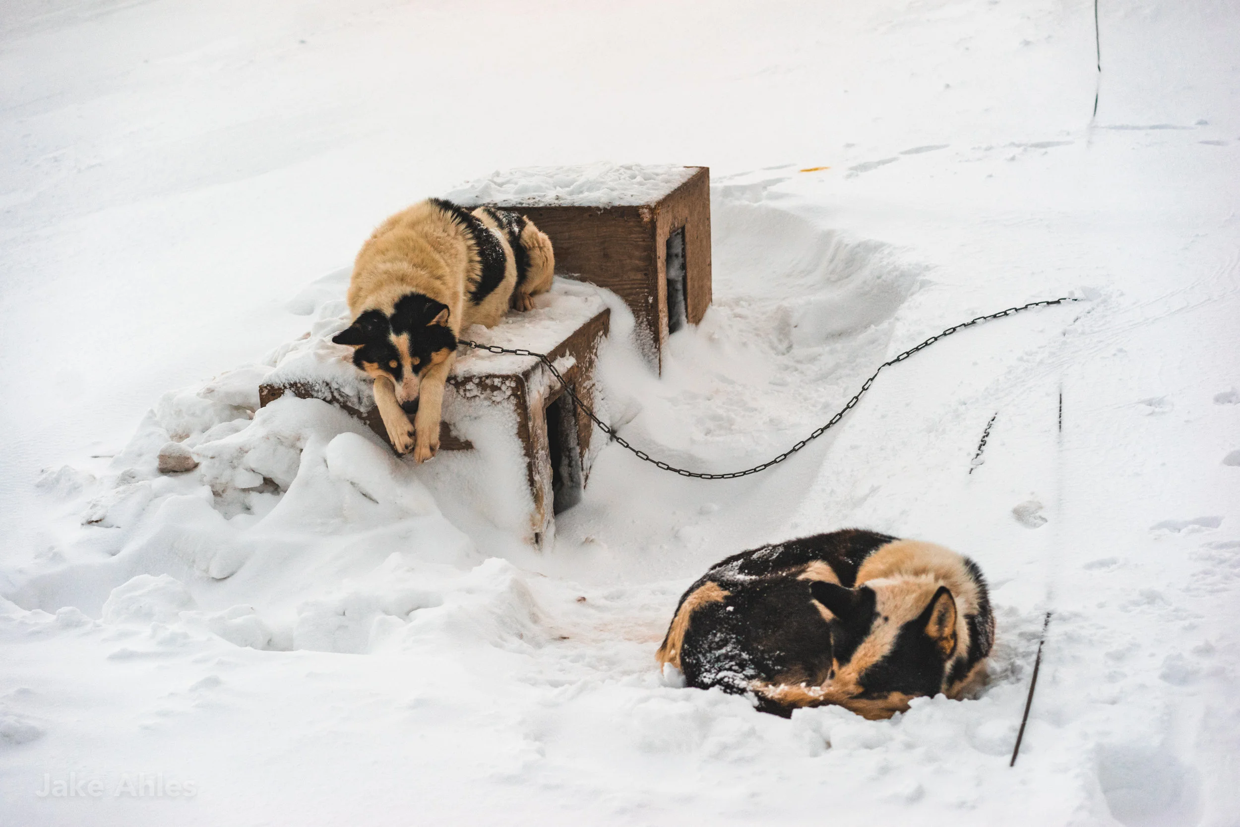 Svalbard Expedition 2018-37.jpg