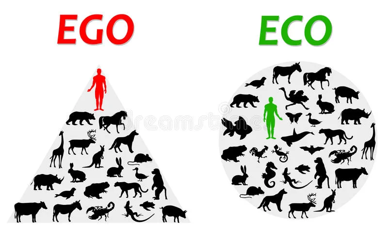 ego-eco-difference-egocentric-ecological-world-view-61263683.jpg