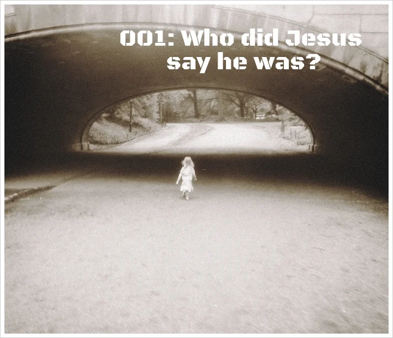 Carolina Central park bridge 2011.JPG