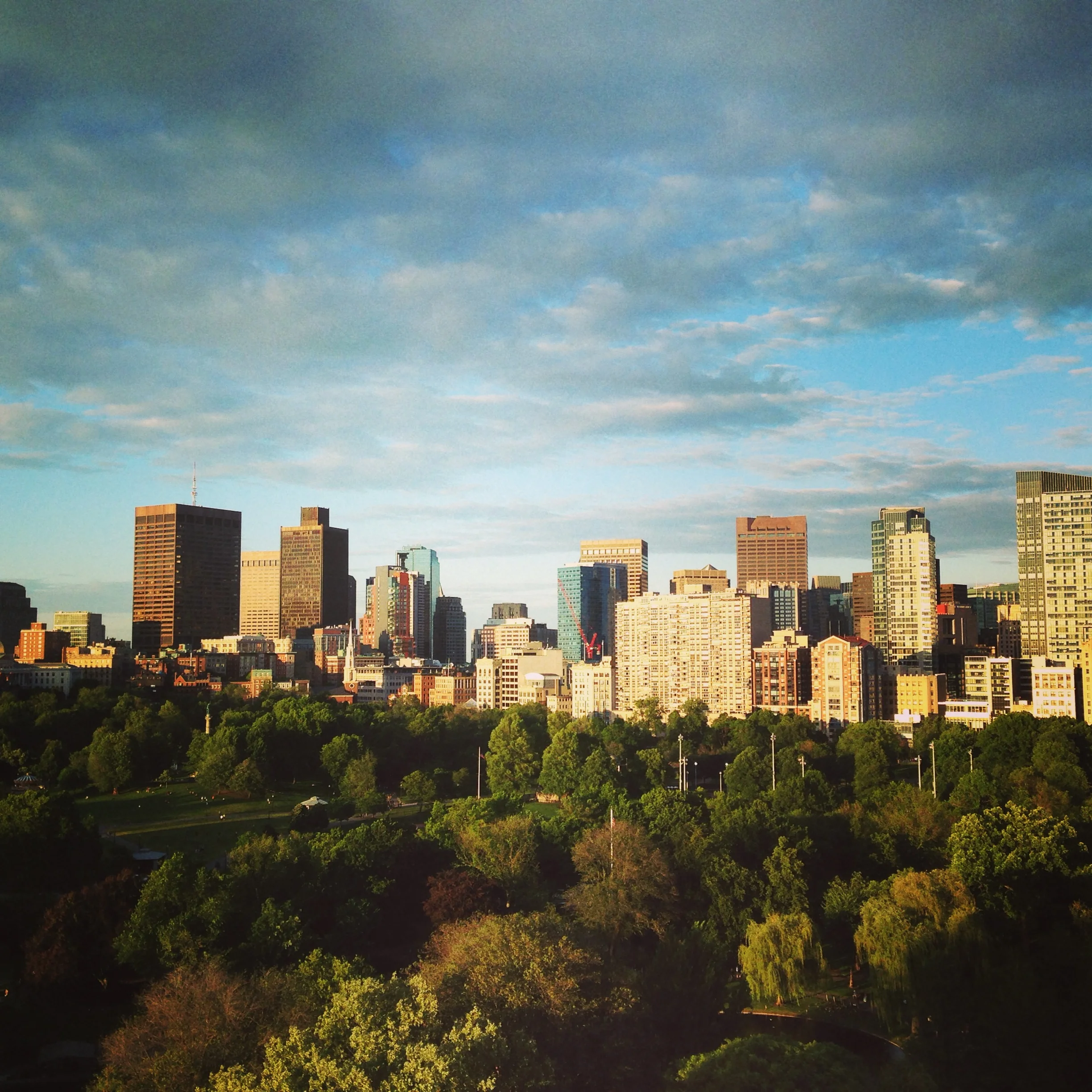 Five Friday Favorites