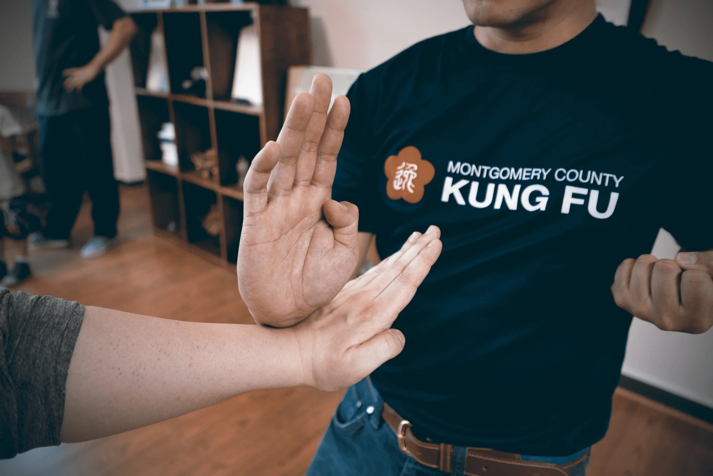 Ving-Tsun-Terminology-Montgomery-County-Kung-Fu.jpg