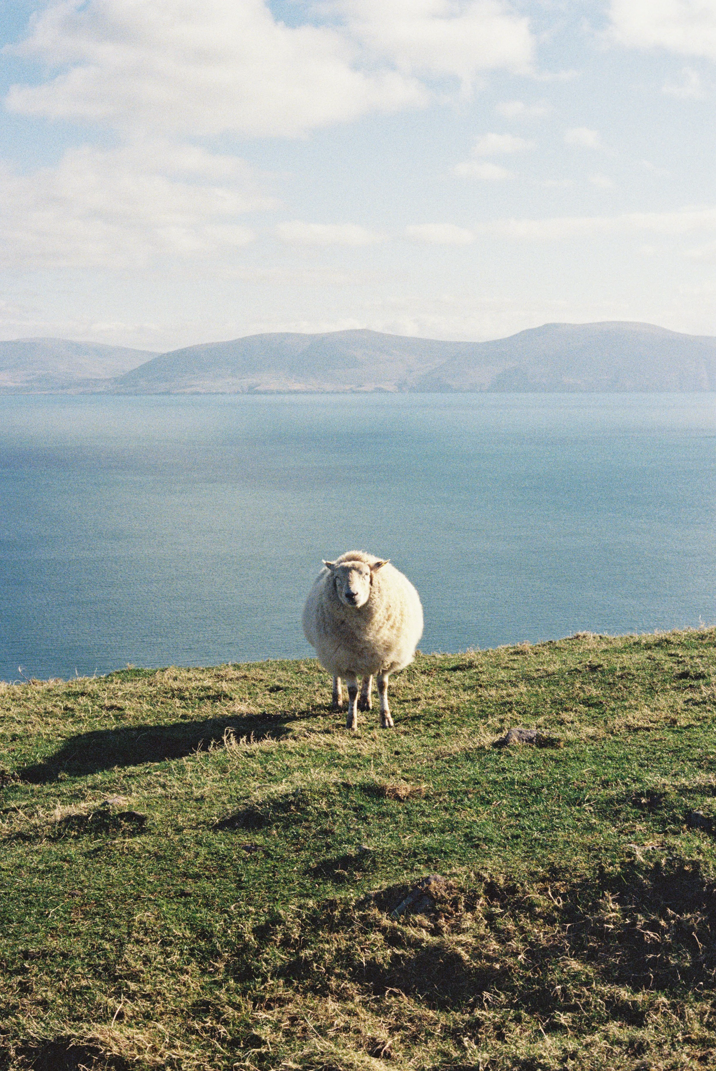 dingle.ireland