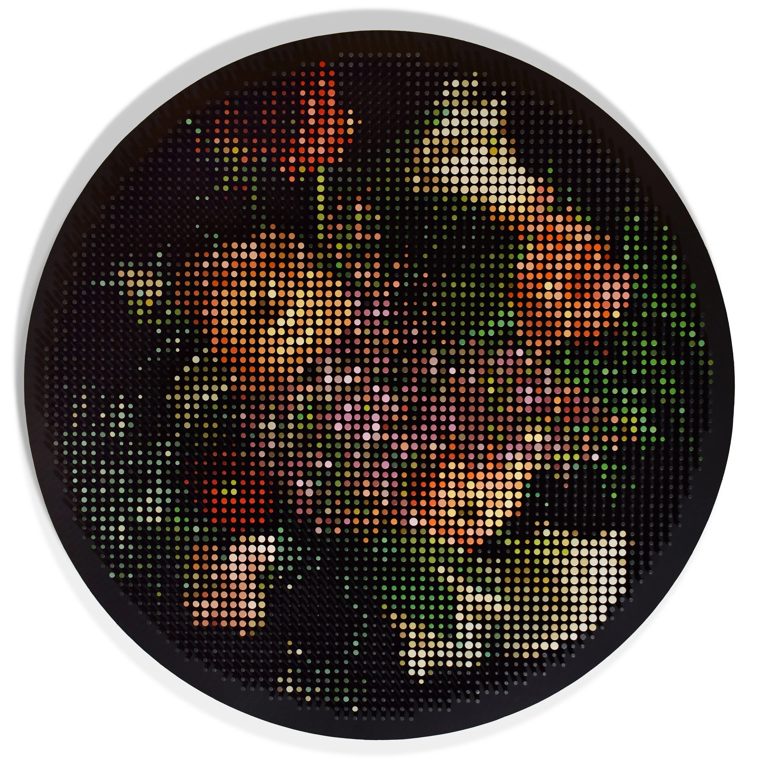 Flowers in a black circle
