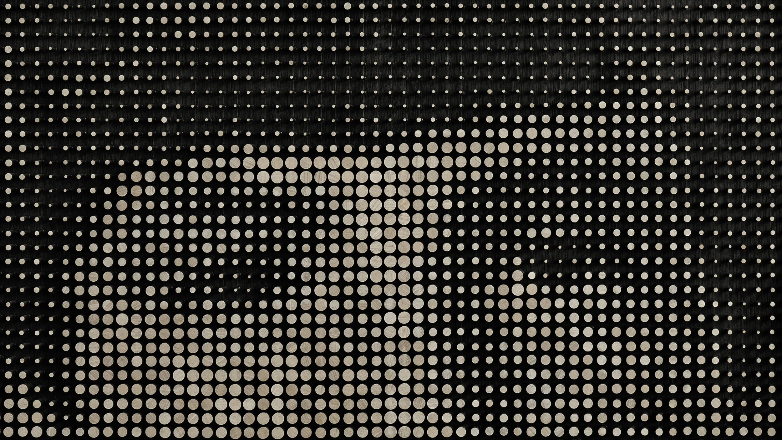 SelfPortrait1_Slide_2.jpg