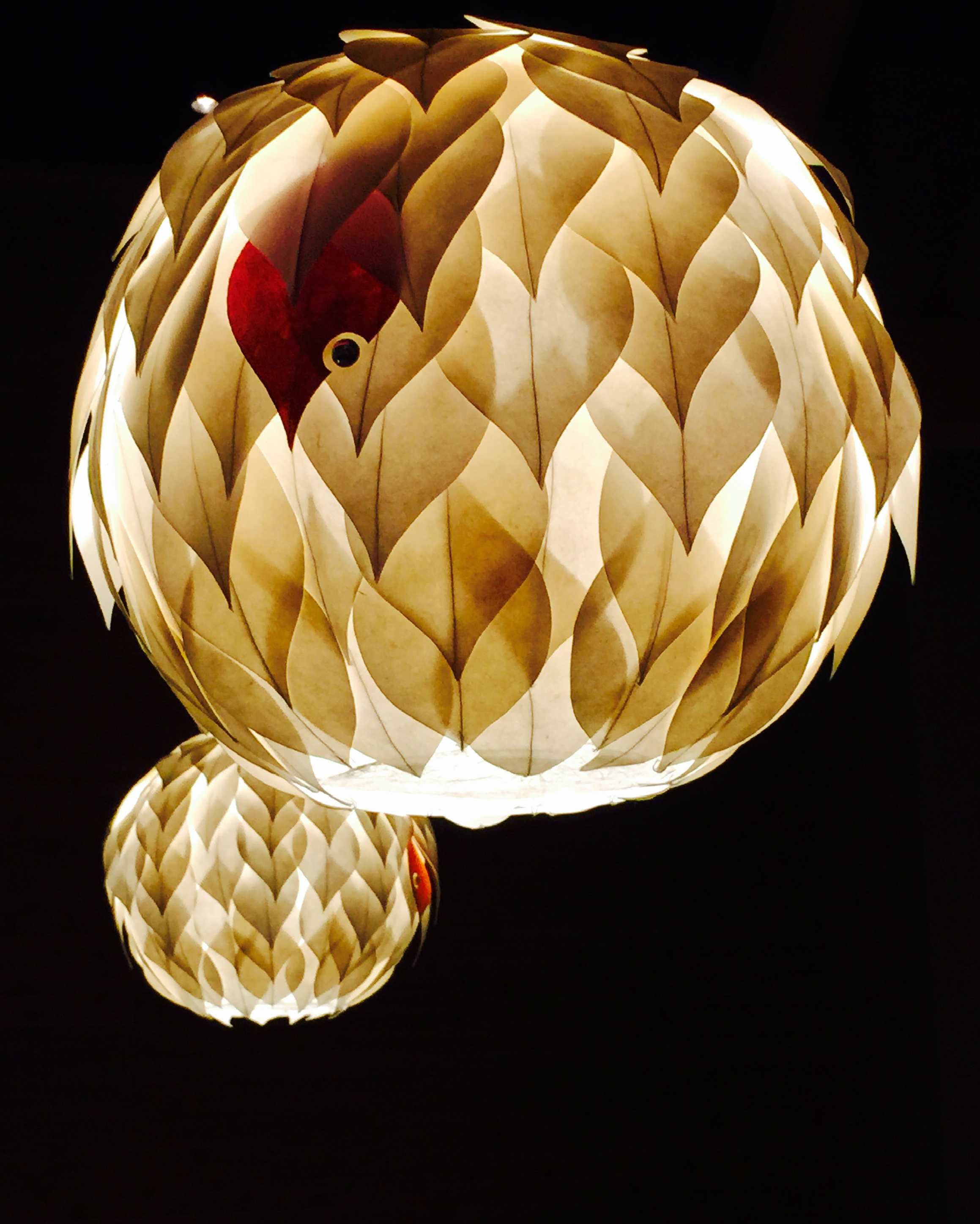 Senses from Japan 2015