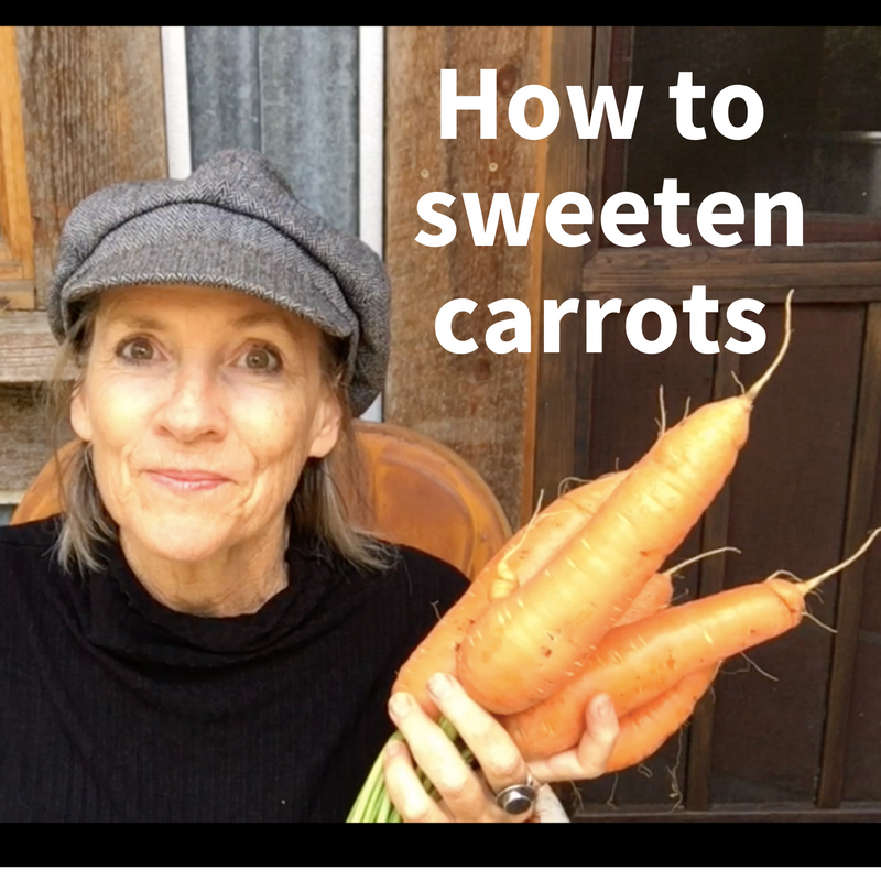 How to grow sweet carrots