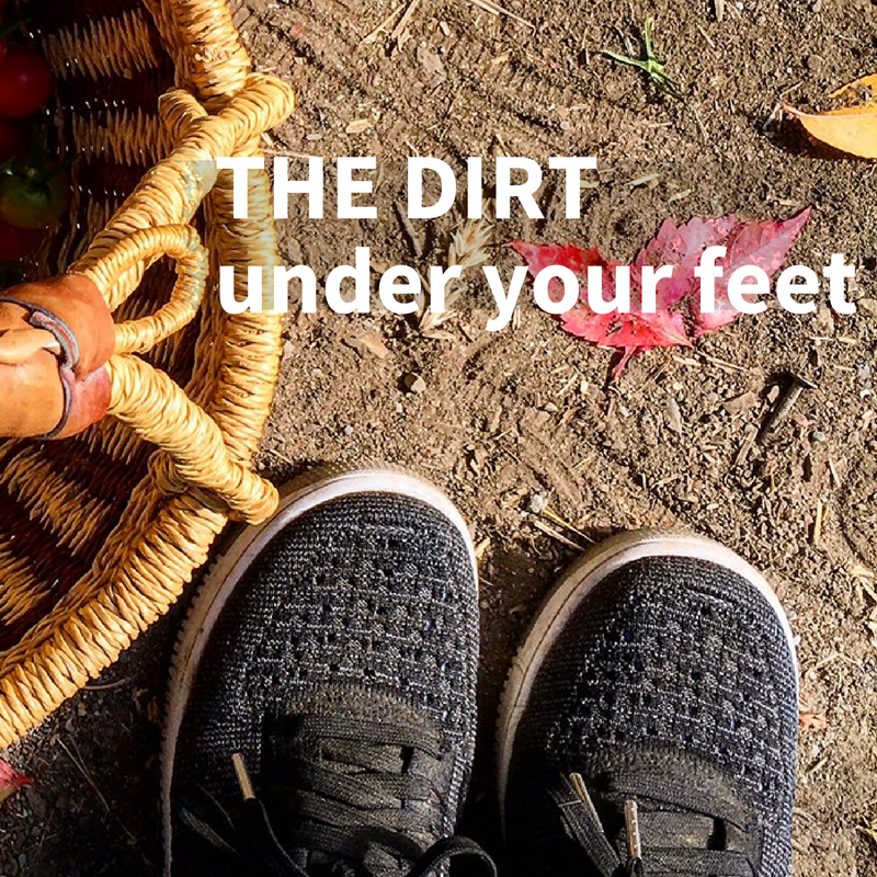 soil microbes in the dirt