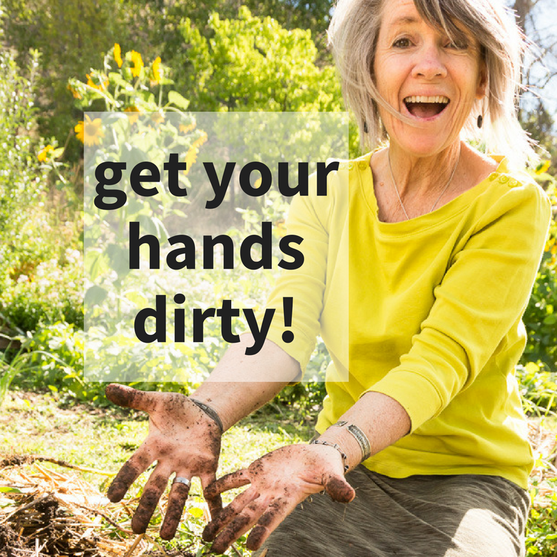How soil microbes help you grow food