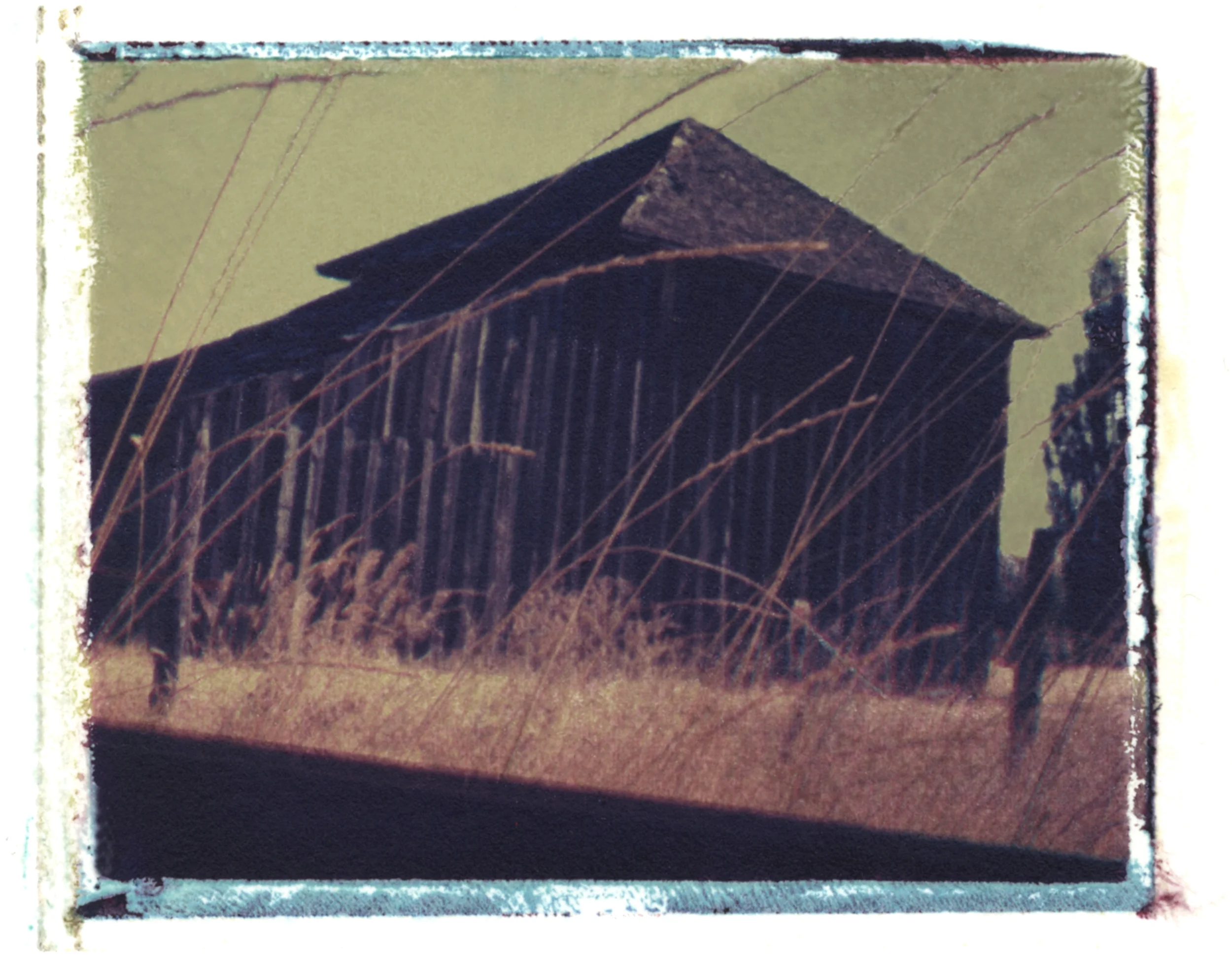 Hardman Oregon II