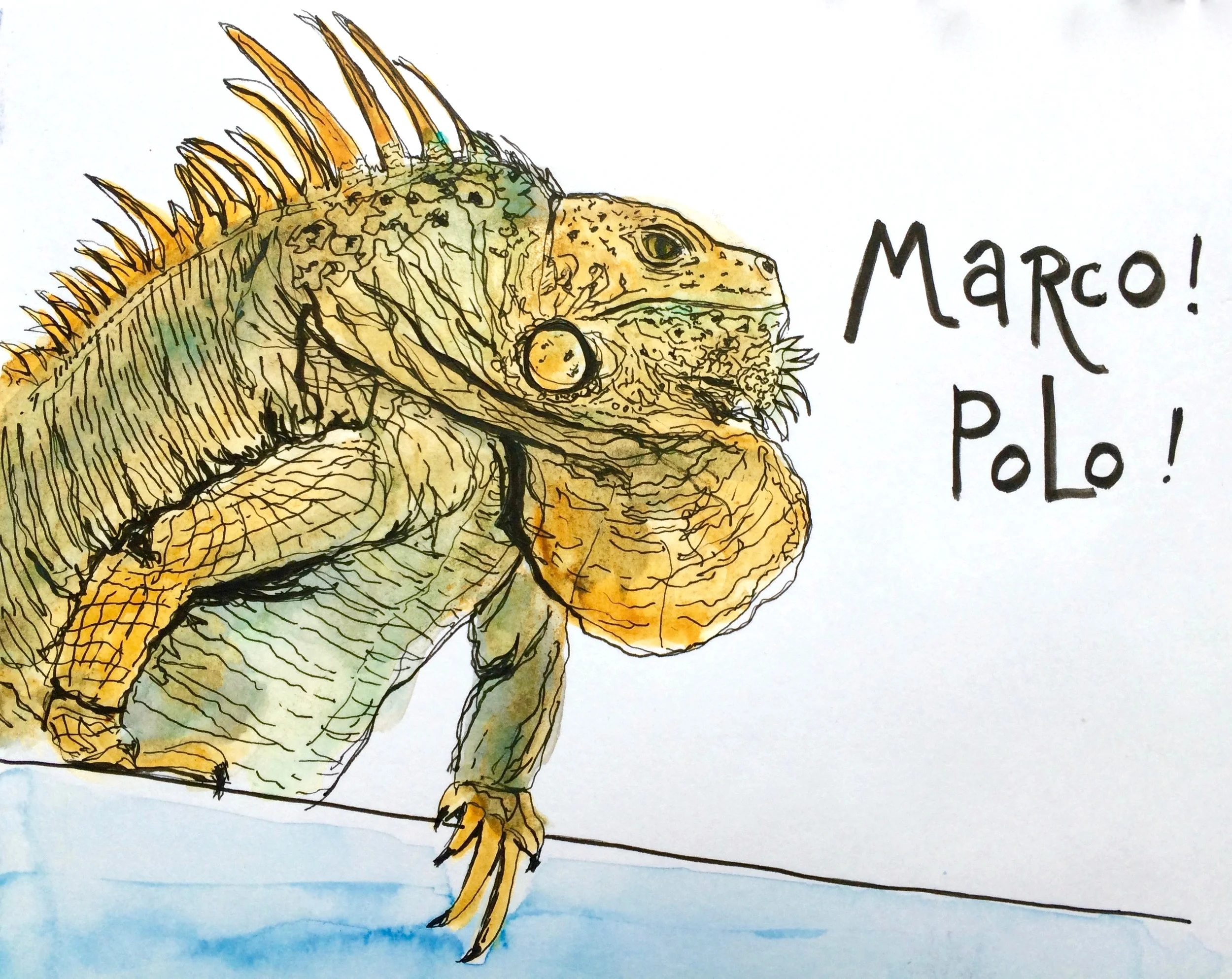 This impressive iguana showed up at the pool. I later heard that his name is Ferdinand. About 3 feet long, he was an impressive Marco to my Polo!