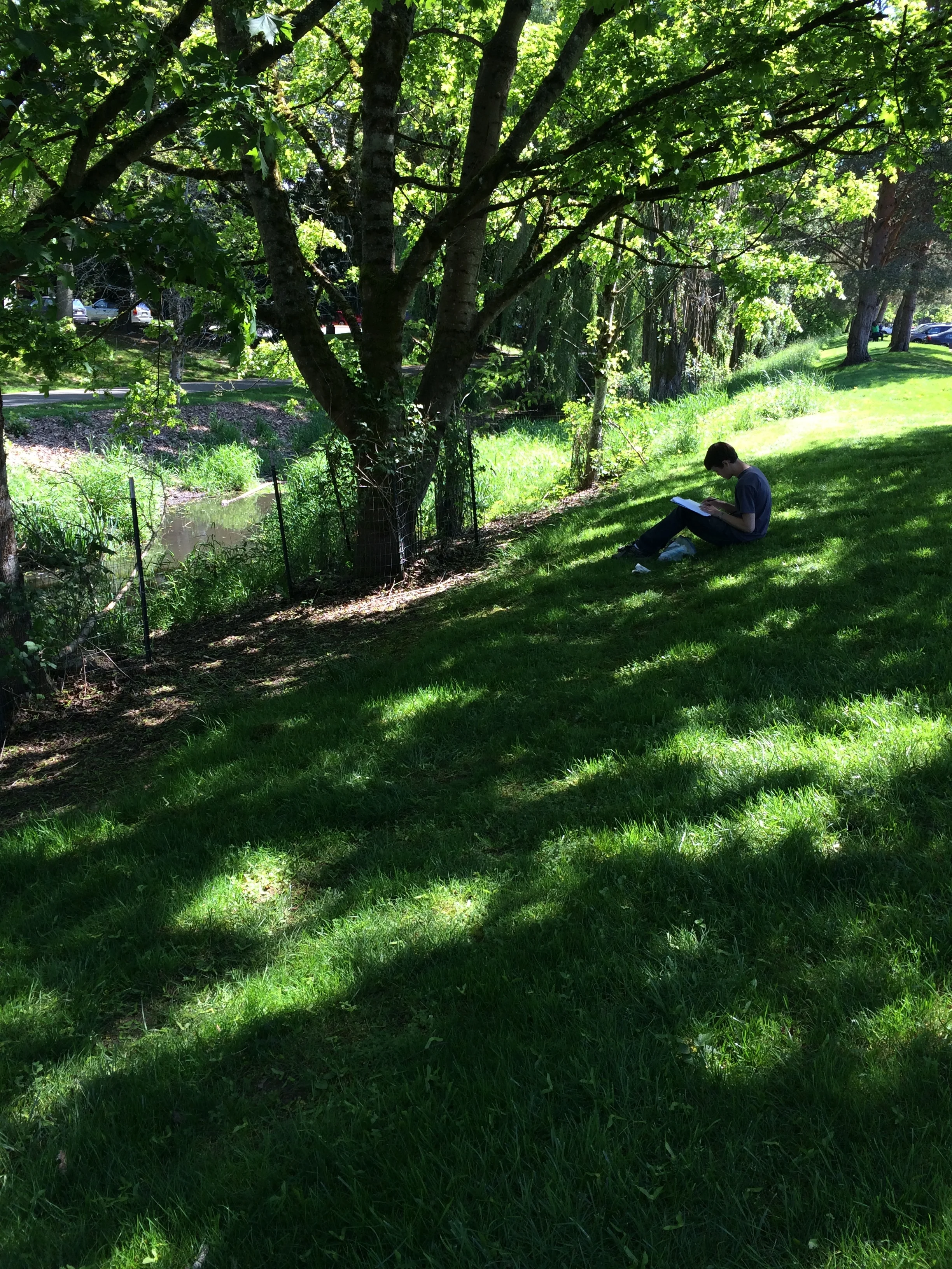 What could be better than a few hours in nature, sketching, listening to birds, and warming up in the sun?
