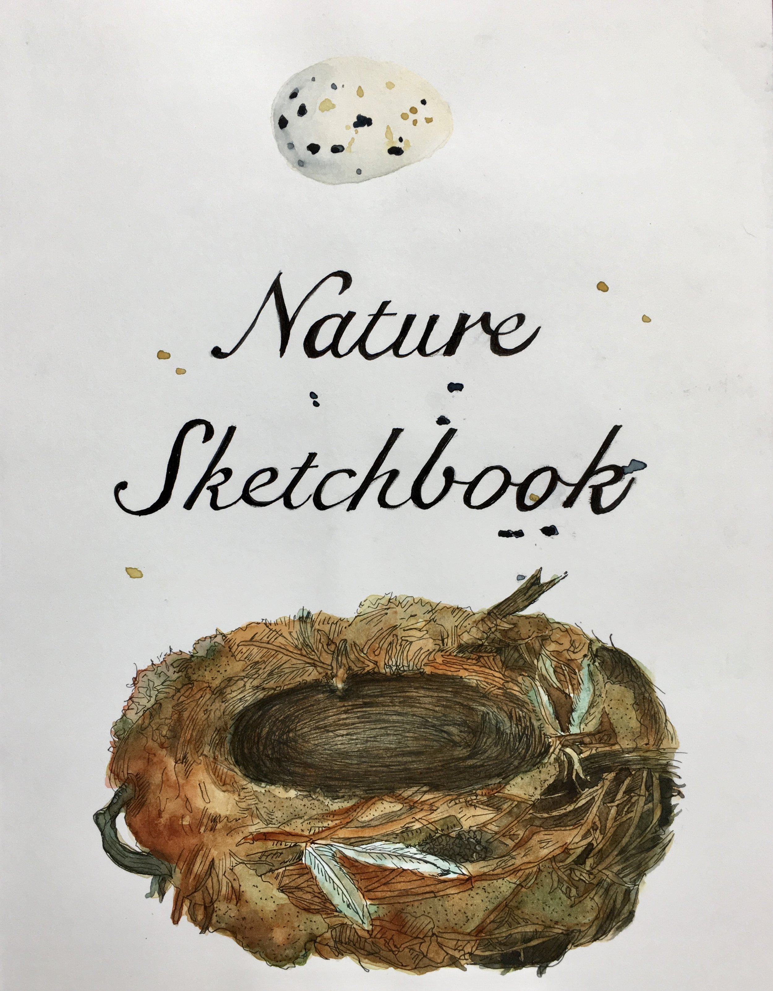 Sketchbook classes for kids & teens — Charlene Collins Freeman Art