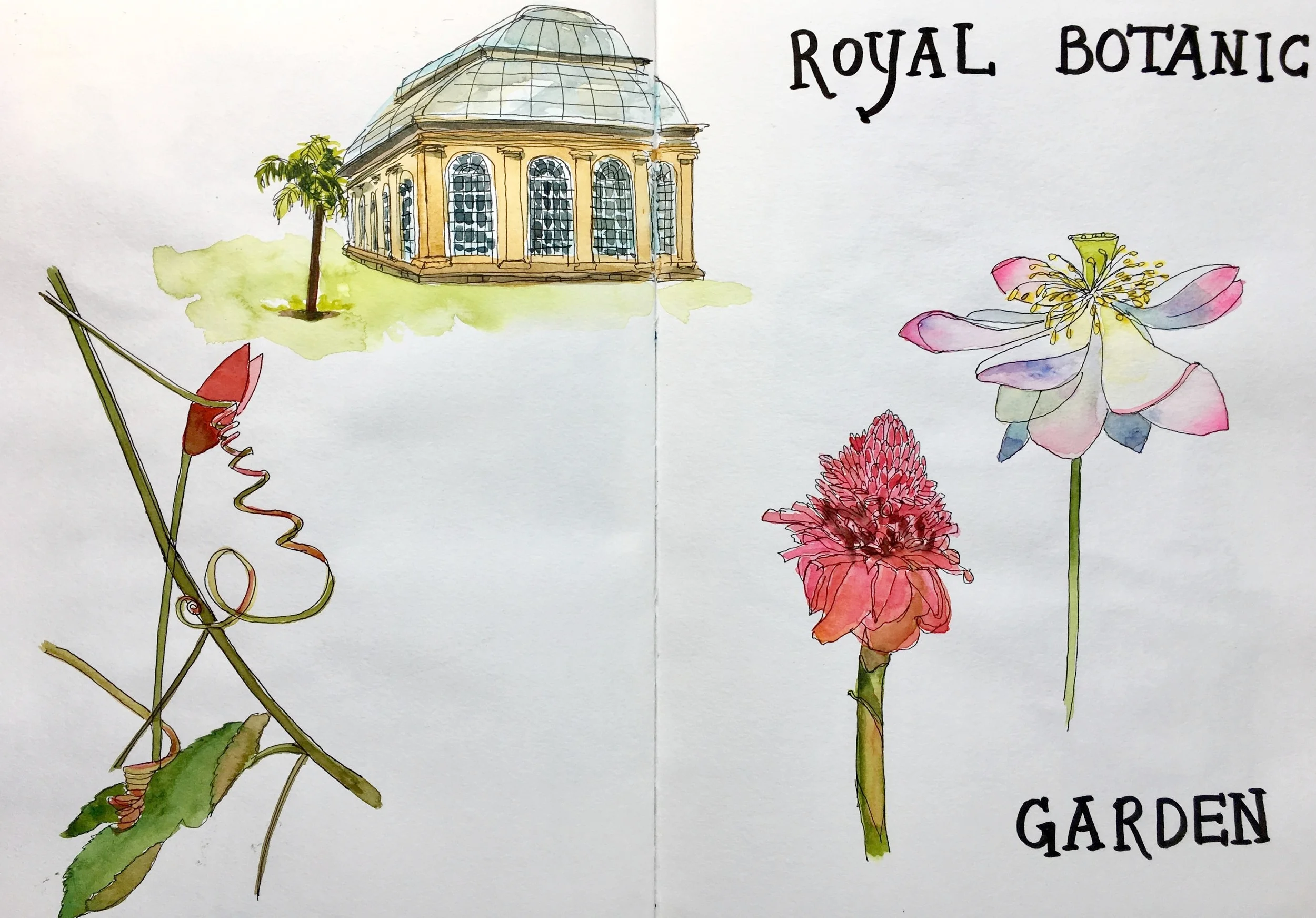 The Royal Botanic Garden was a peak experience. We were happy to spend the better part of a day there.