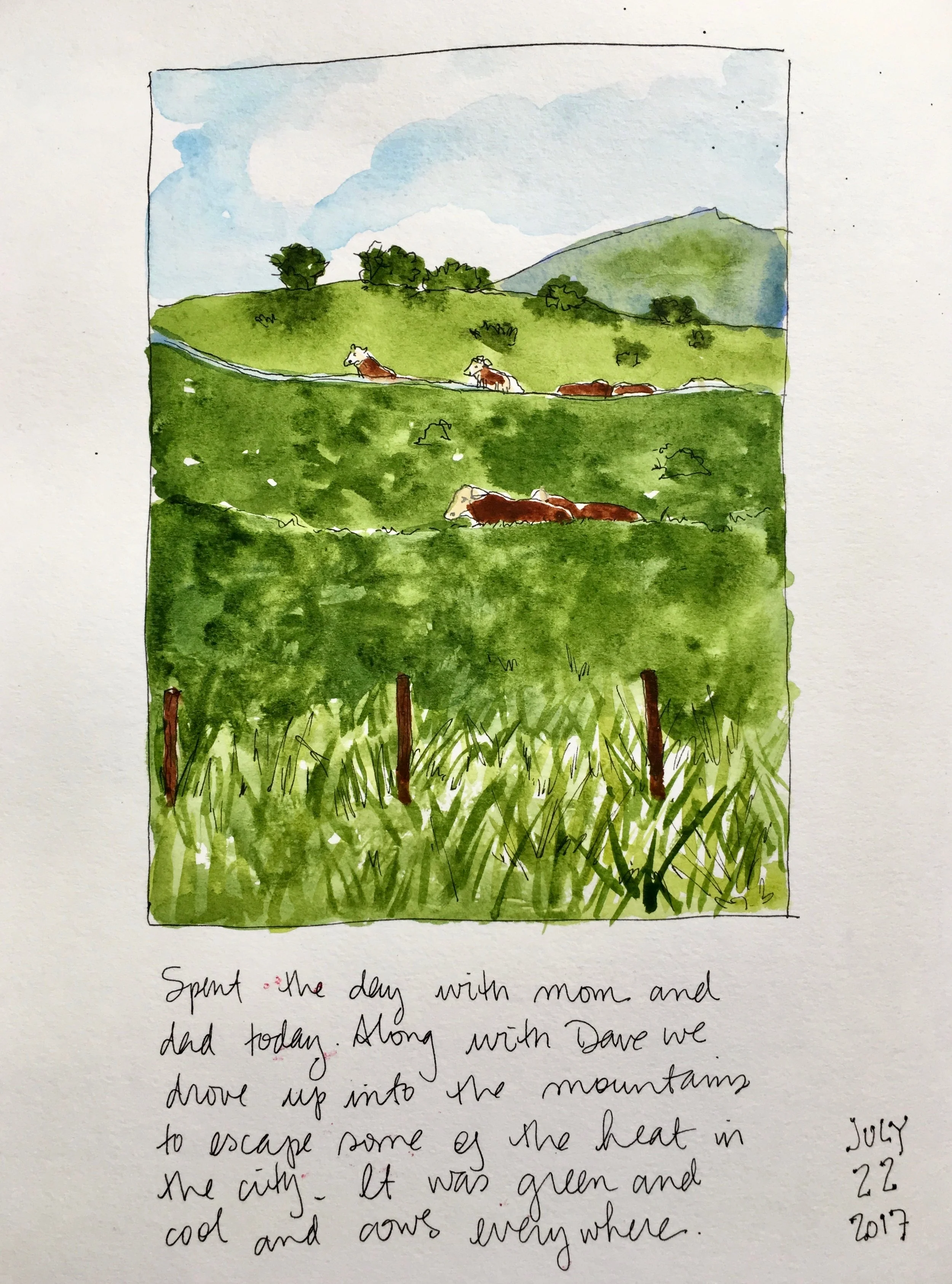 We took a drive into the mountains to escape the heat. 