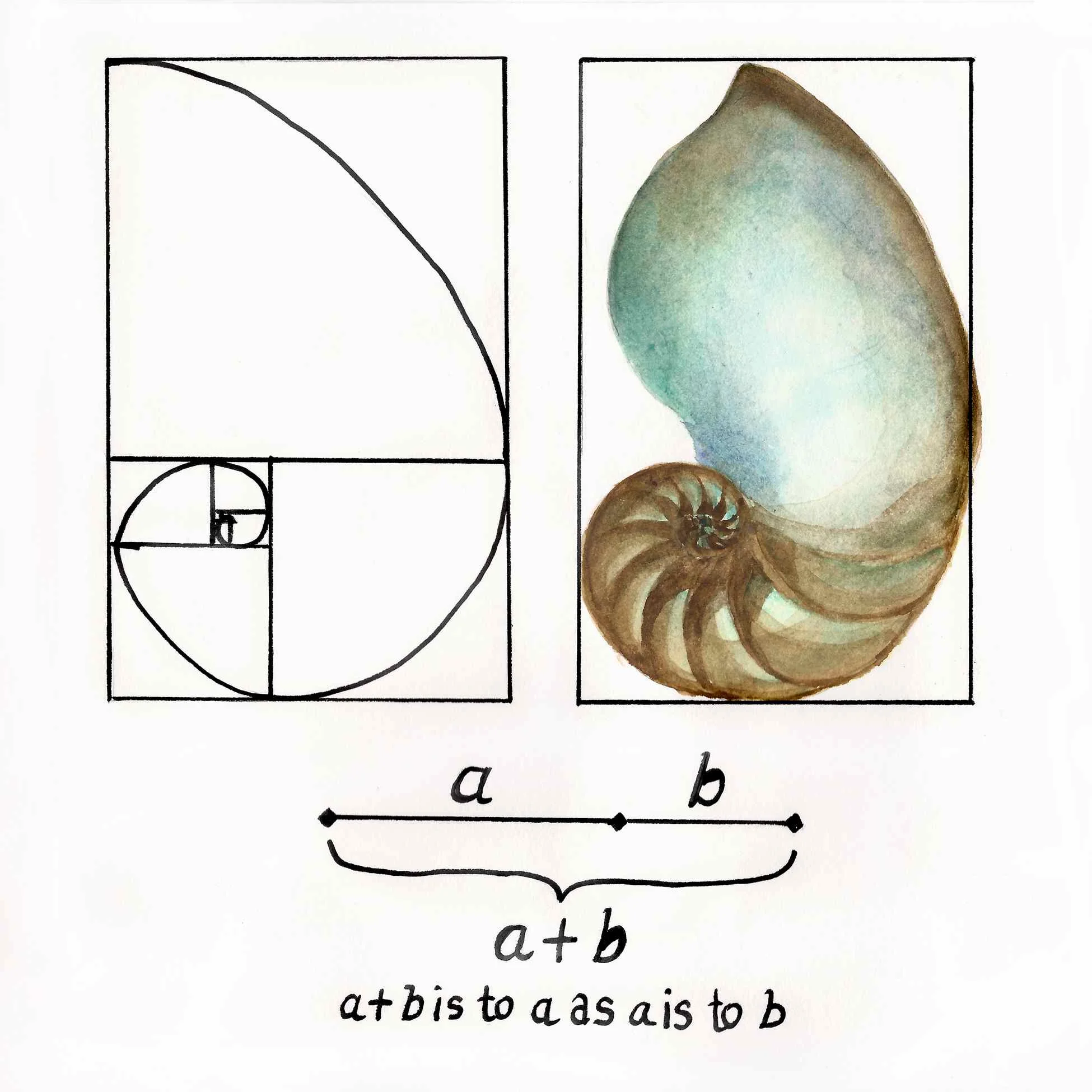 R1.jpg