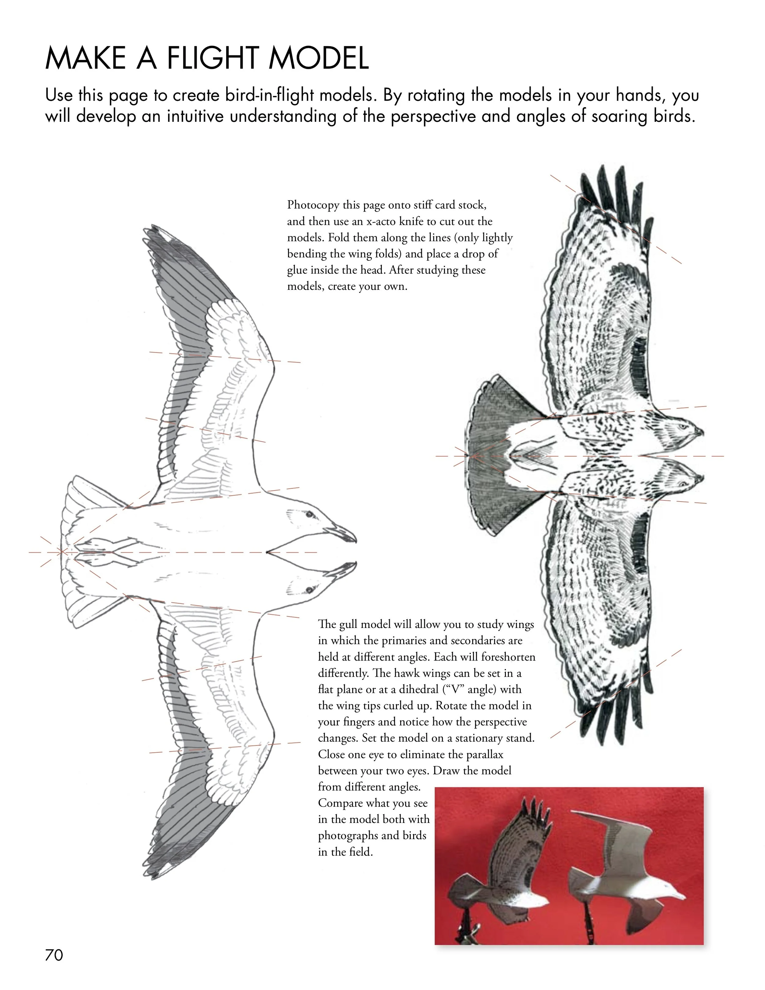 Make-a-flight-model.jpg