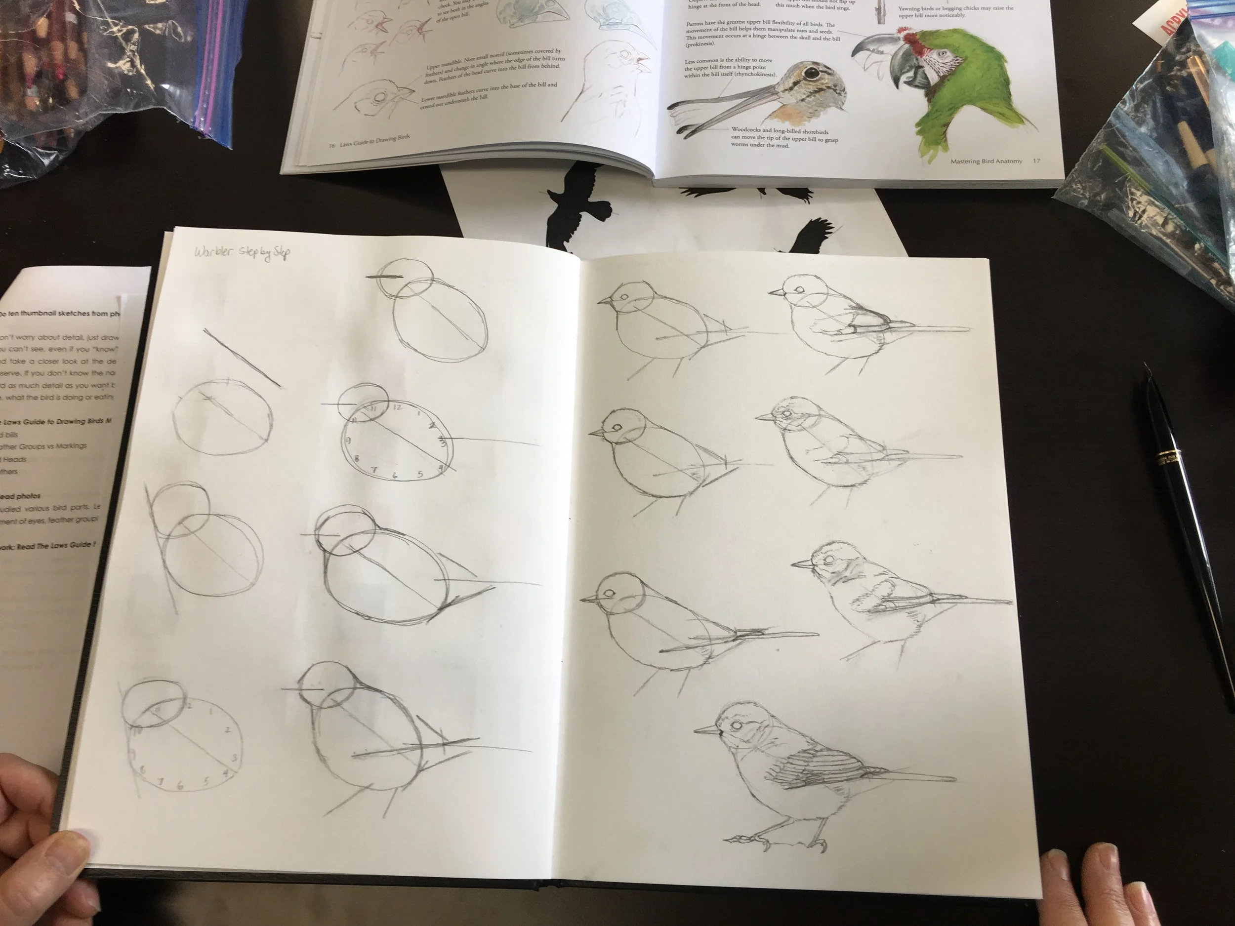  Katherine Voss sketchbook