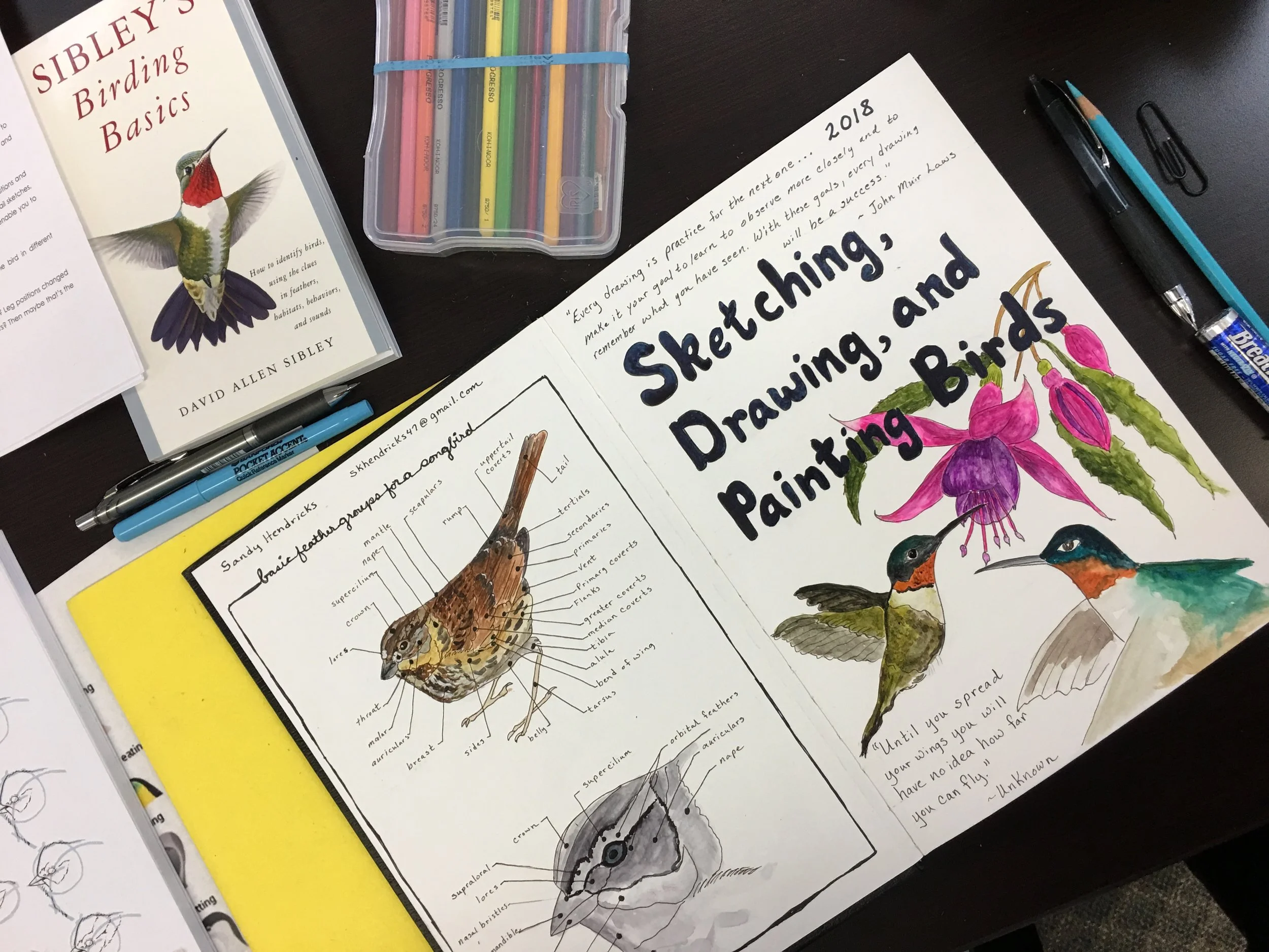  Sandy Hendricks sketchbook