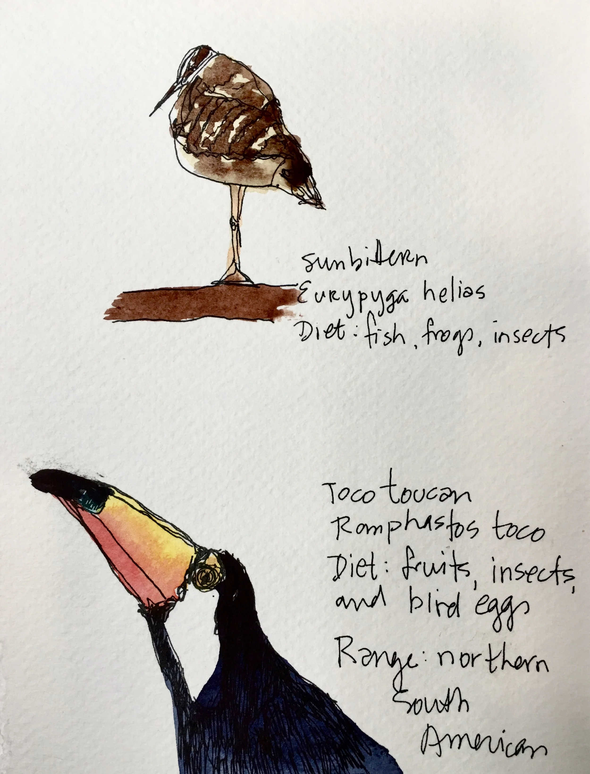  Page from my sketchbook