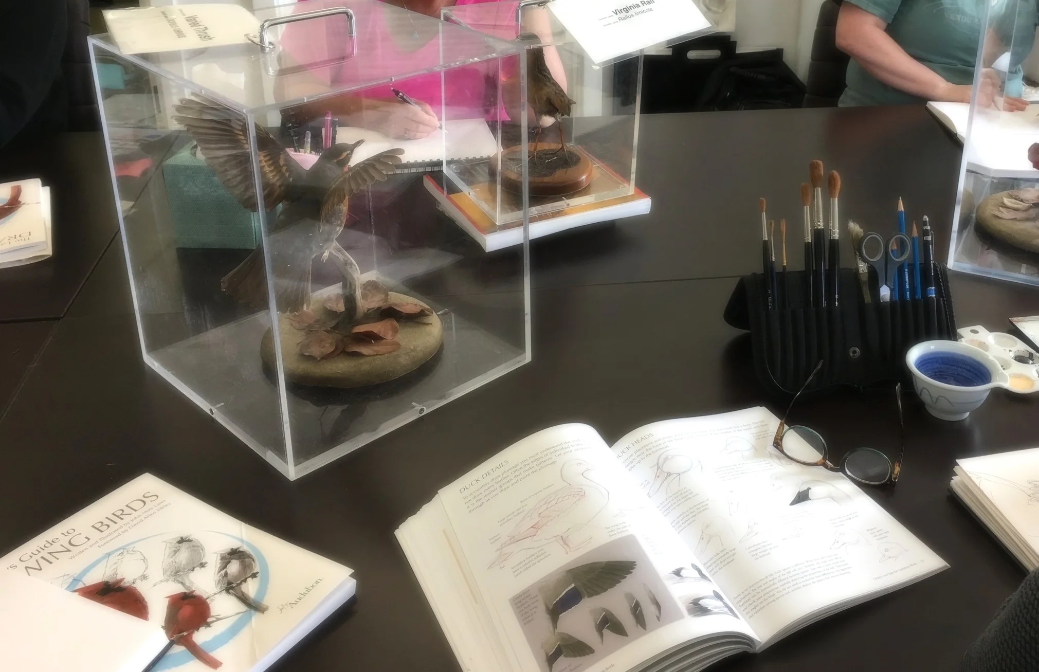 Bird Sketching Workshop (1).jpg